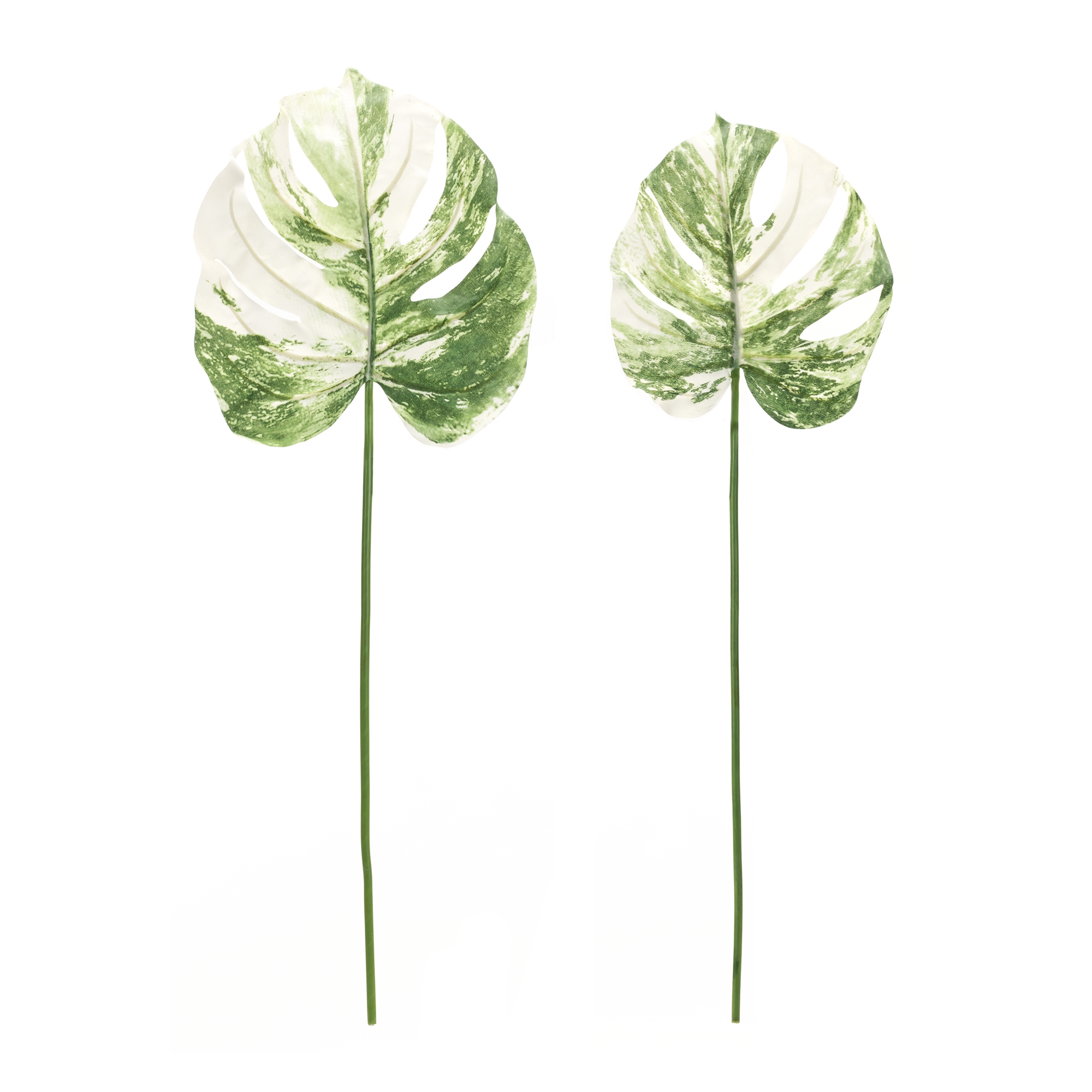 Philo Leaf (Set of 12) 28