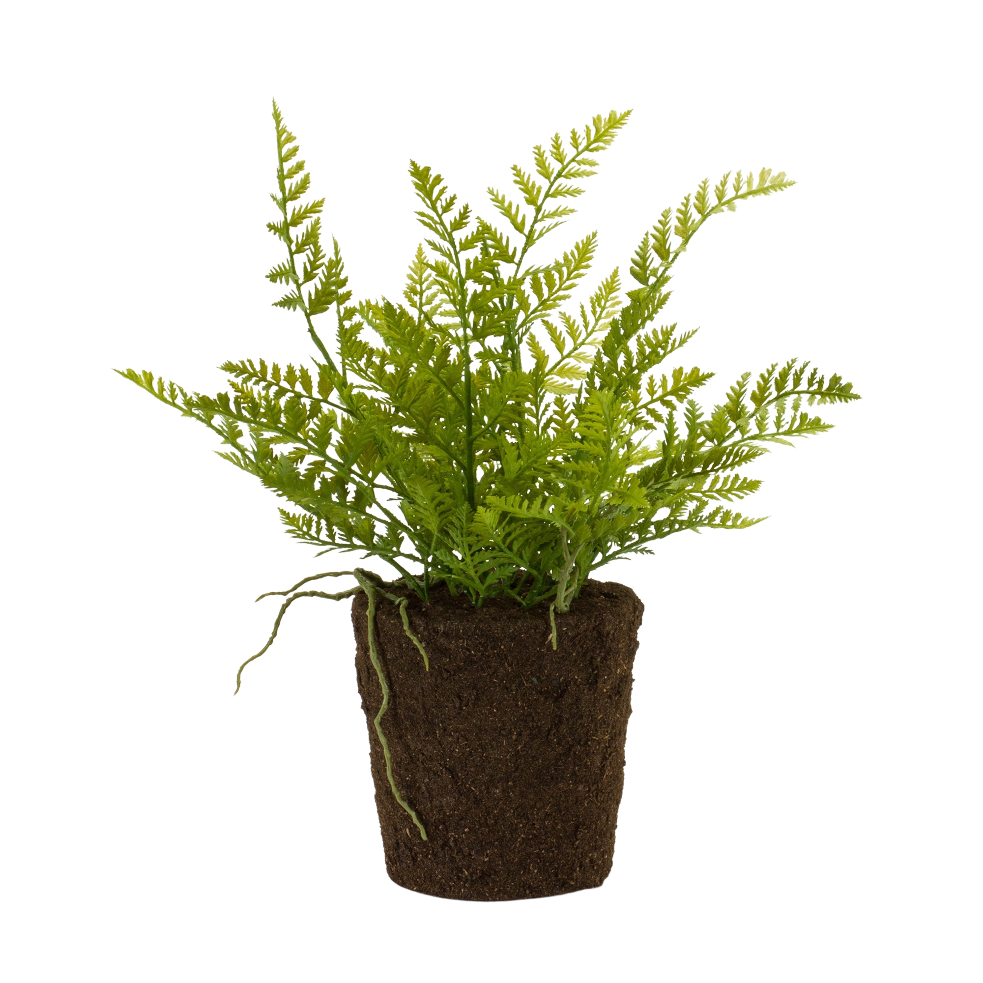 Potted Fern Bush (Set of 2) 15