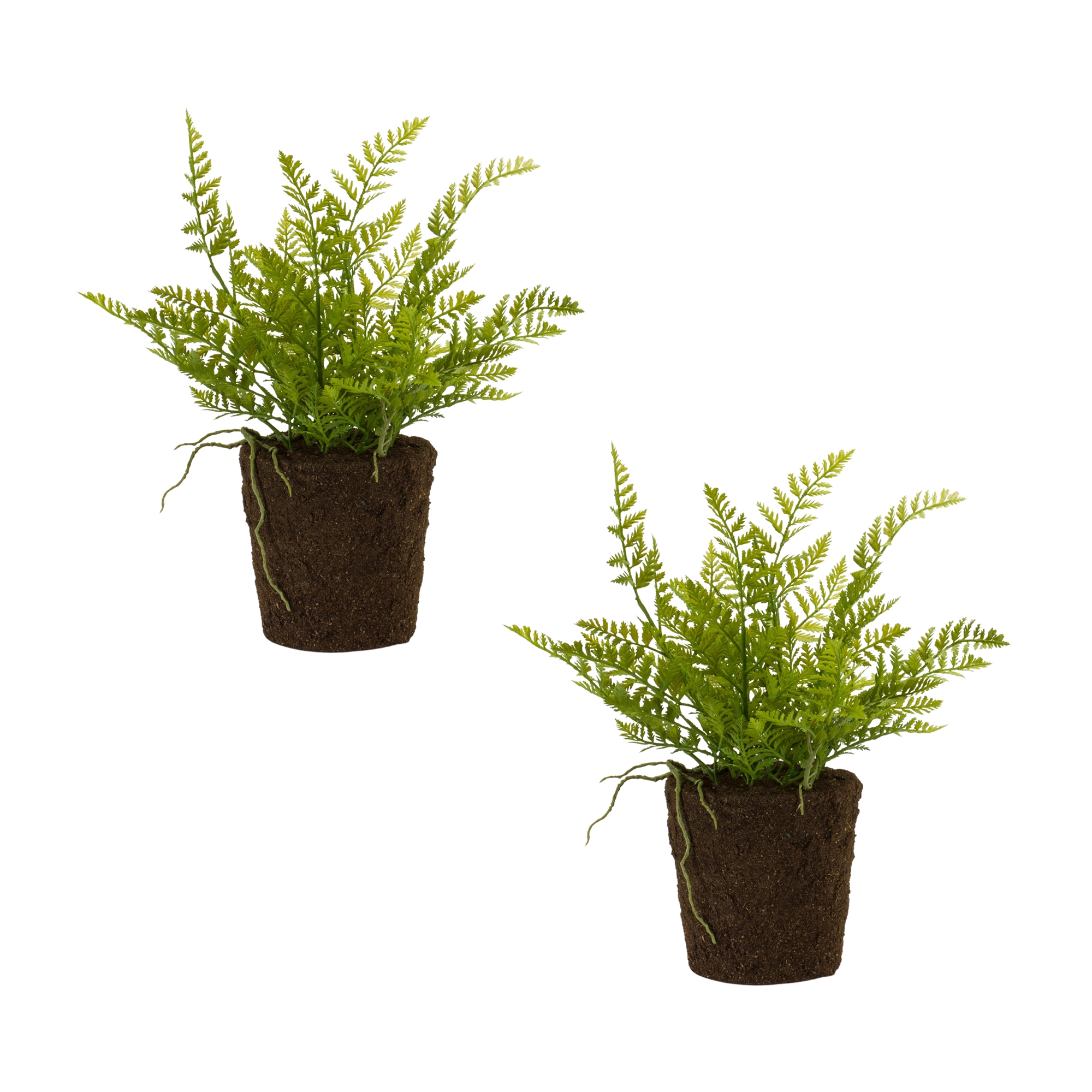 Potted Fern Bush (Set of 2) 15