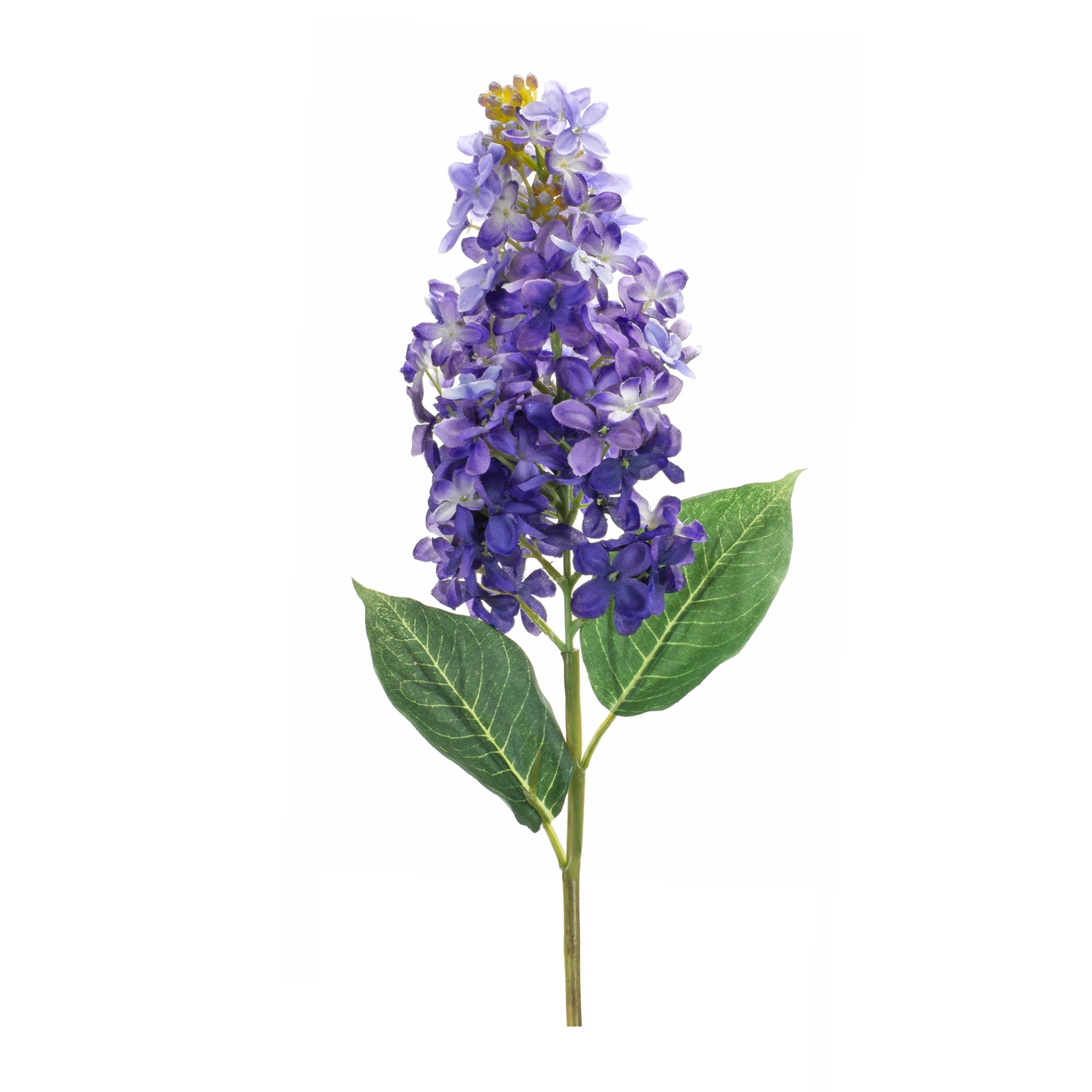 Lilac Stem (Set of 6) 19