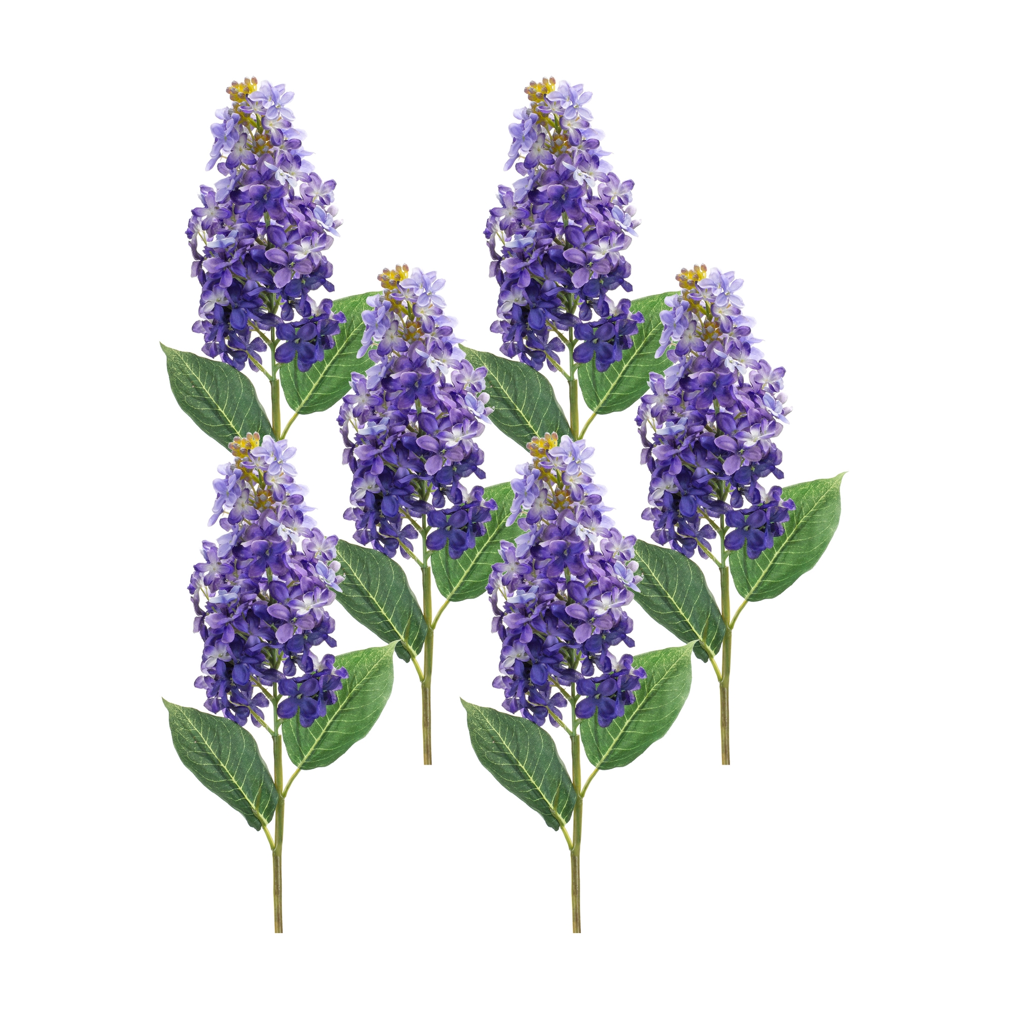 Lilac Stem (Set of 6) 19