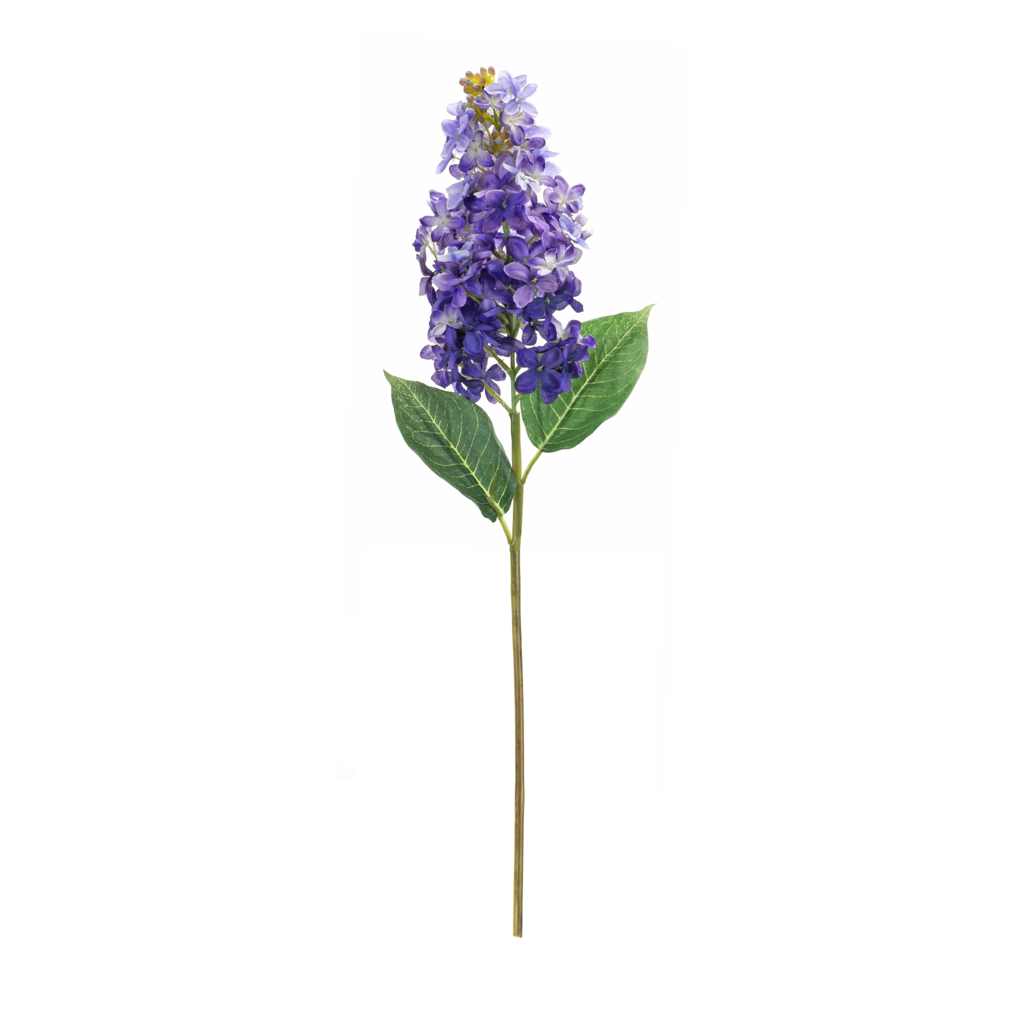 Lilac Stem (Set of 6) 19