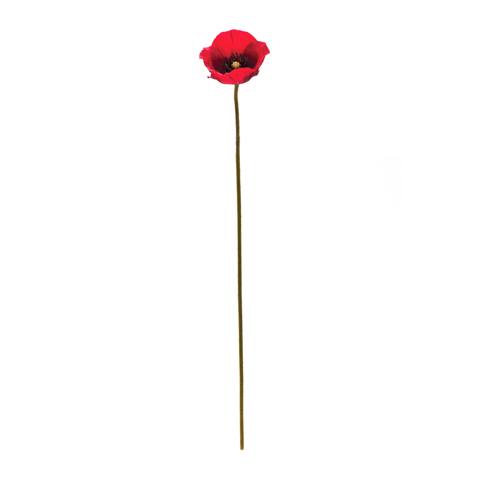 Poppy Spray (Set of 6) 26.5