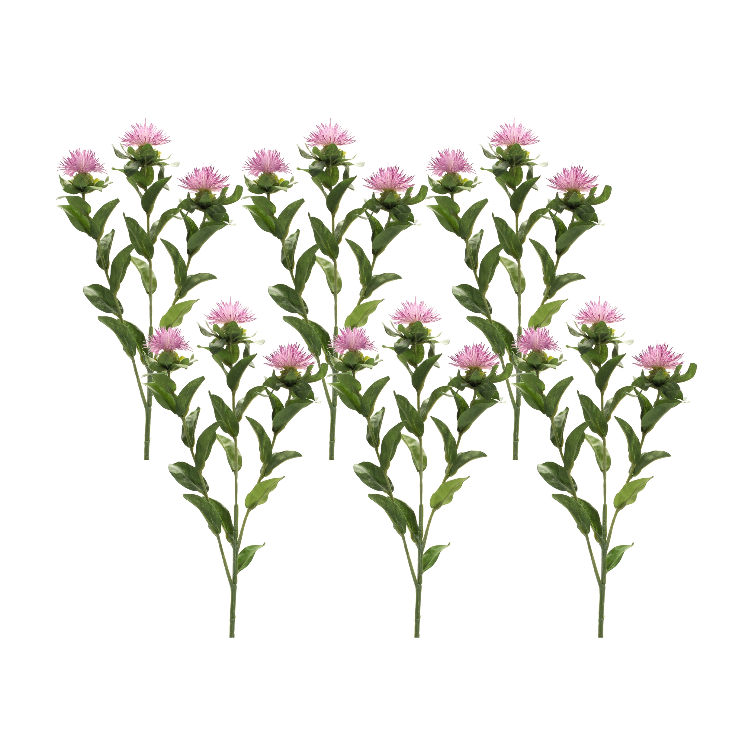 Thistle Spray (Set of 6) 24.5