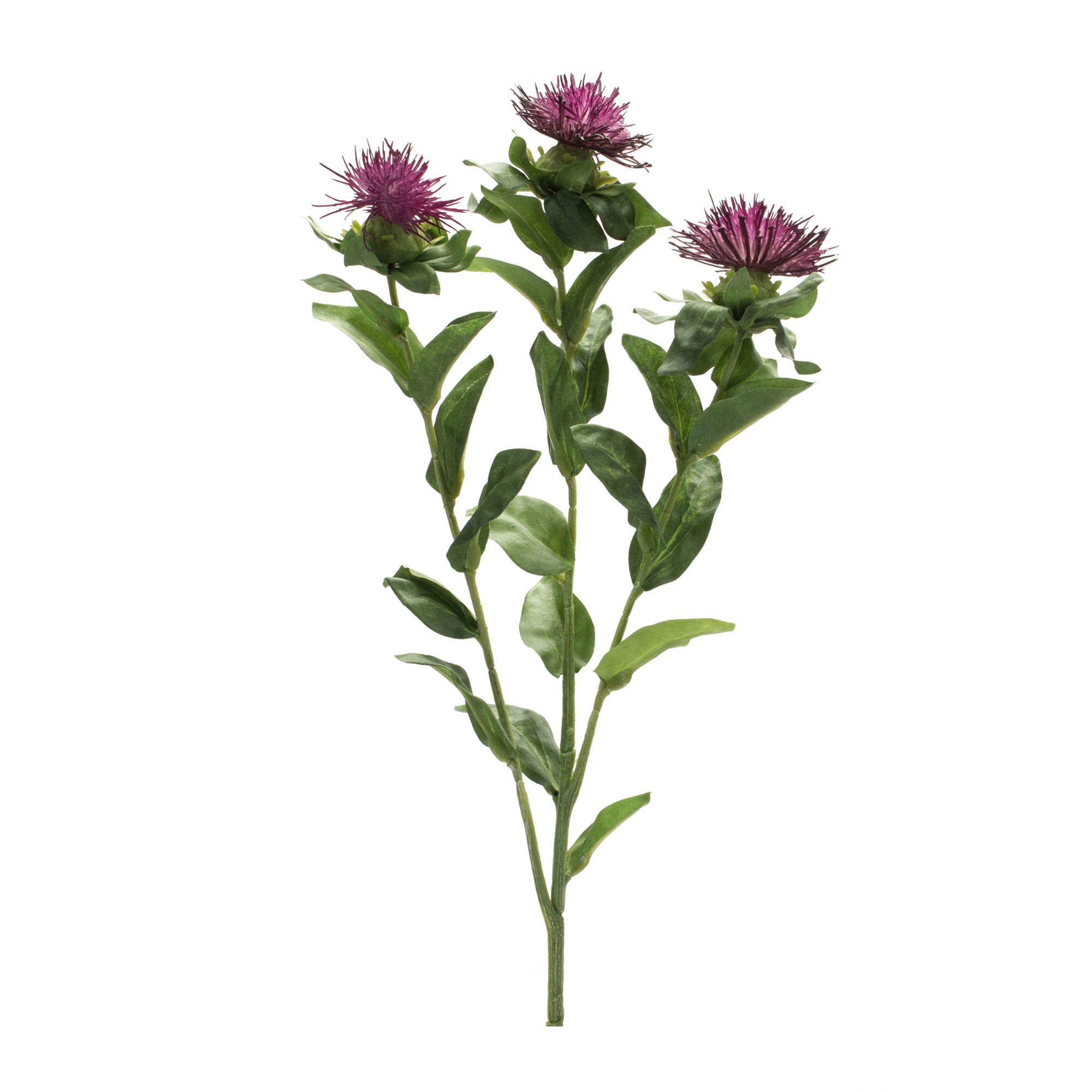 Thistle Spray (Set of 6) 24.5