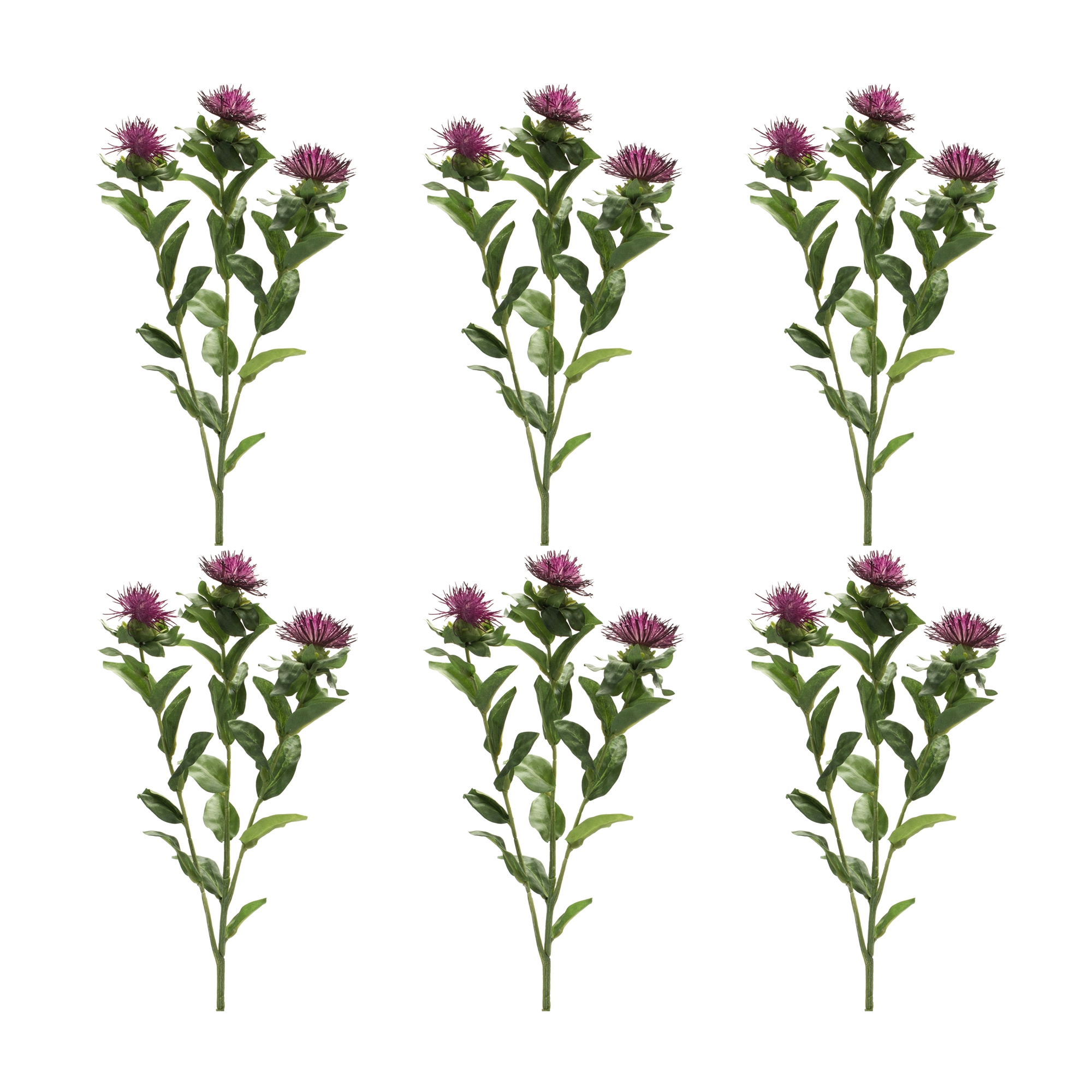 Thistle Spray (Set of 6) 24.5