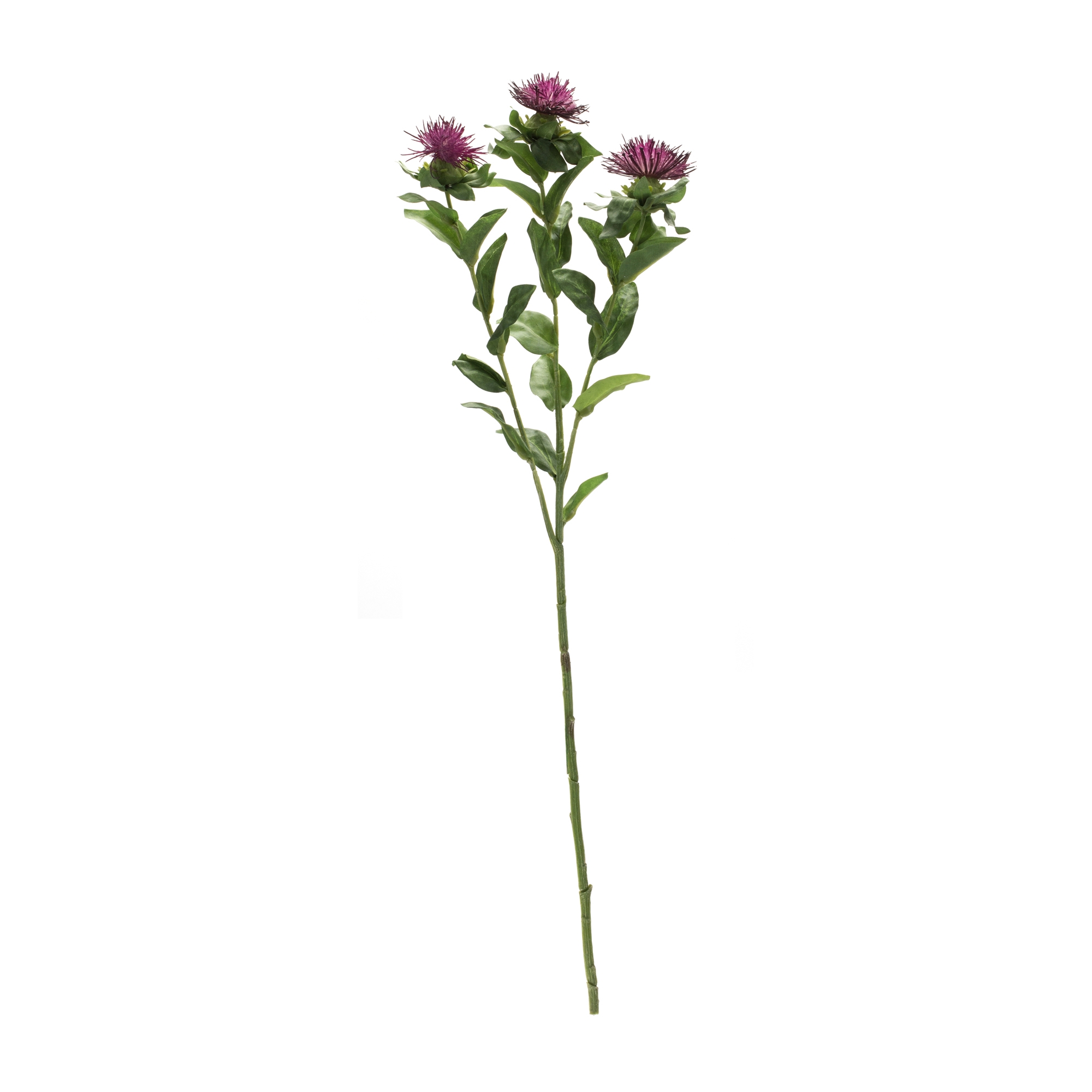 Thistle Spray (Set of 6) 24.5