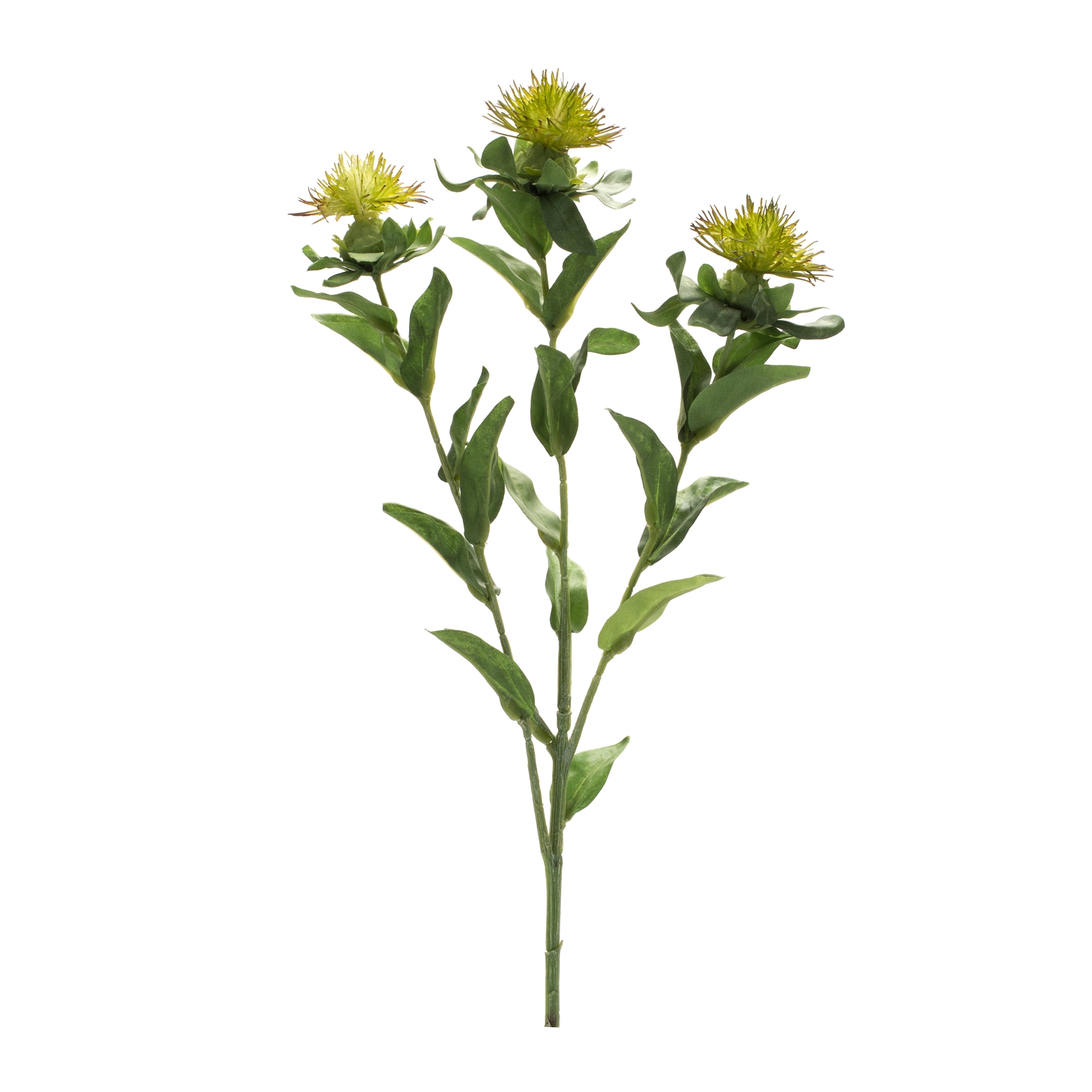 Thistle Spray (Set of 6) 34.75