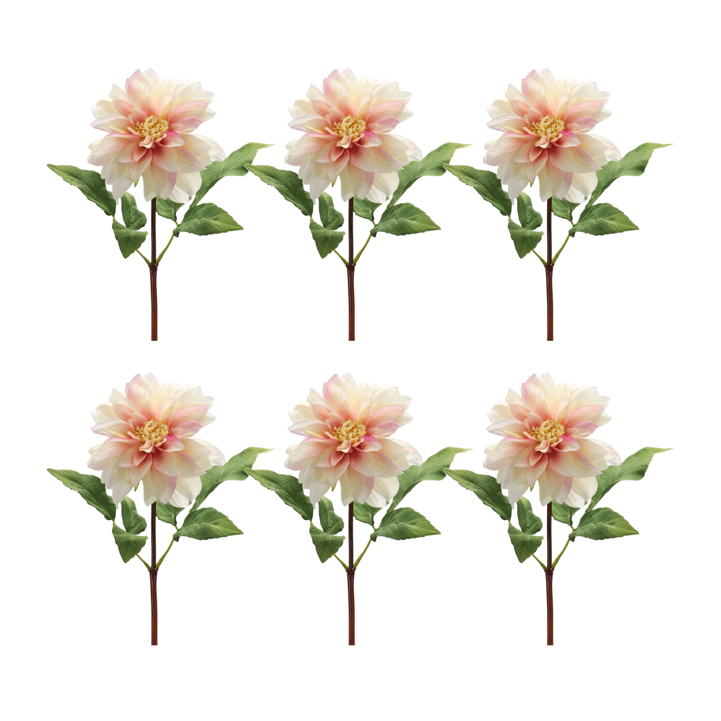 Dahlia Stem (Set of 6) 16