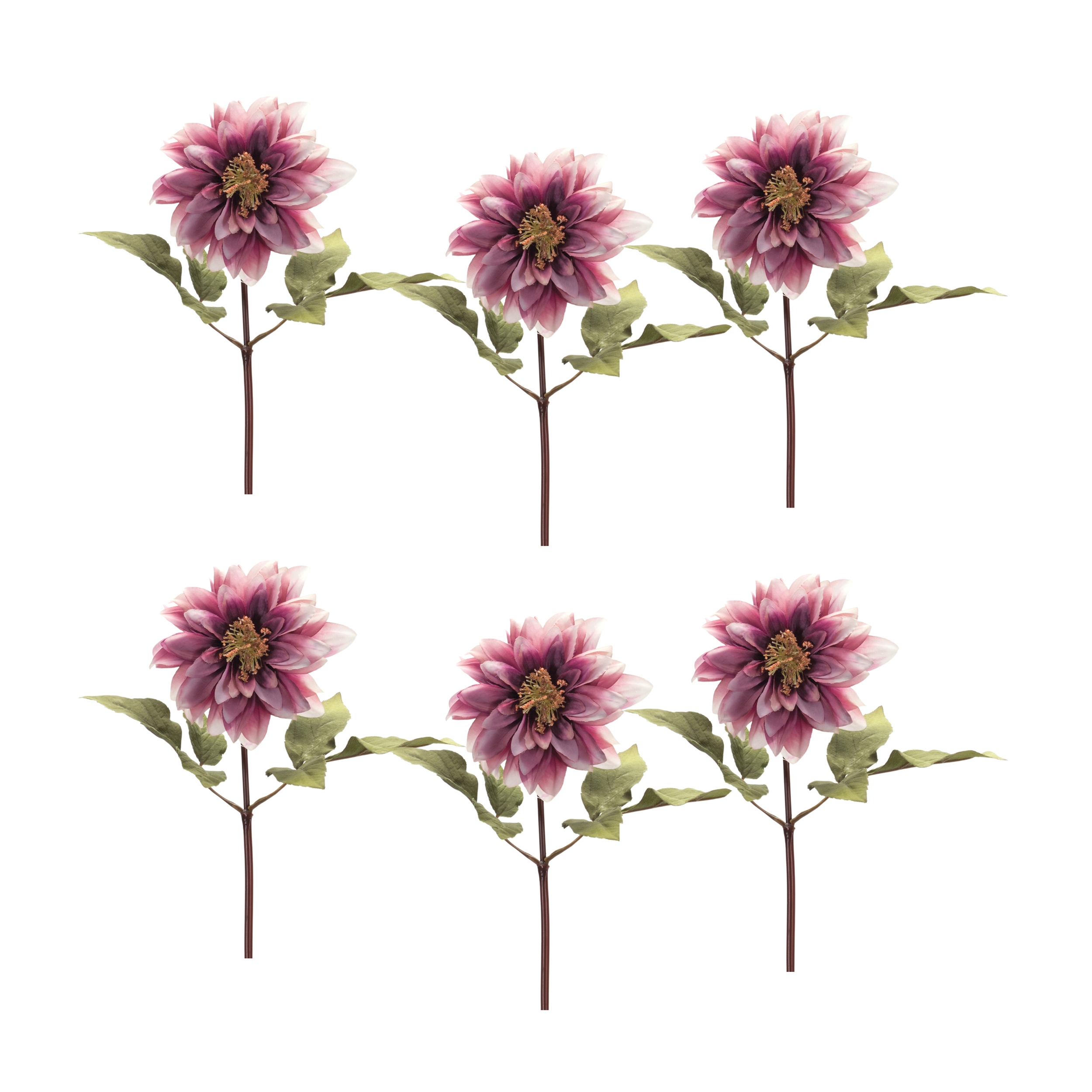 Dahlia Stem (Set of 6) 16