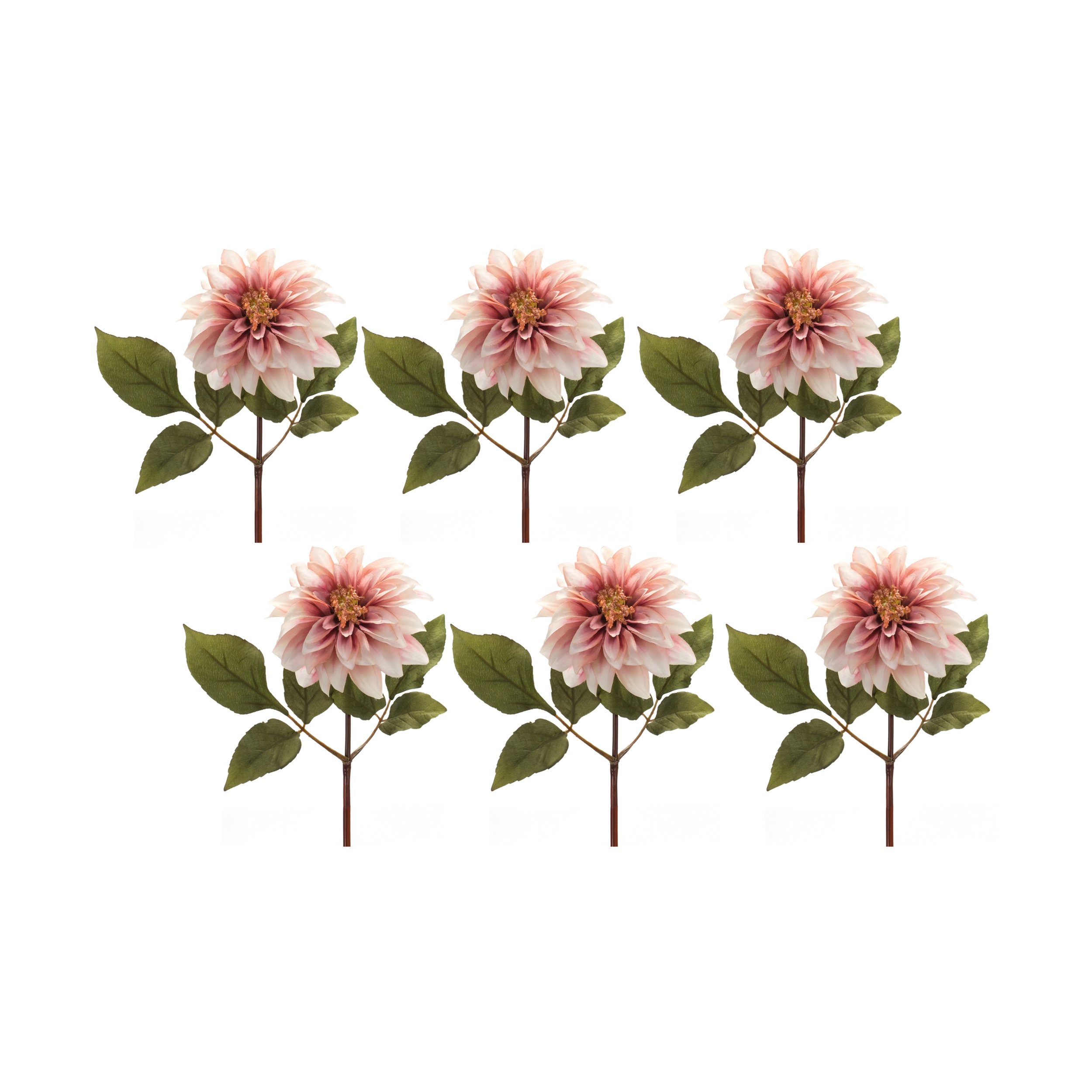 Dahlia Stem (Set of 6) 16
