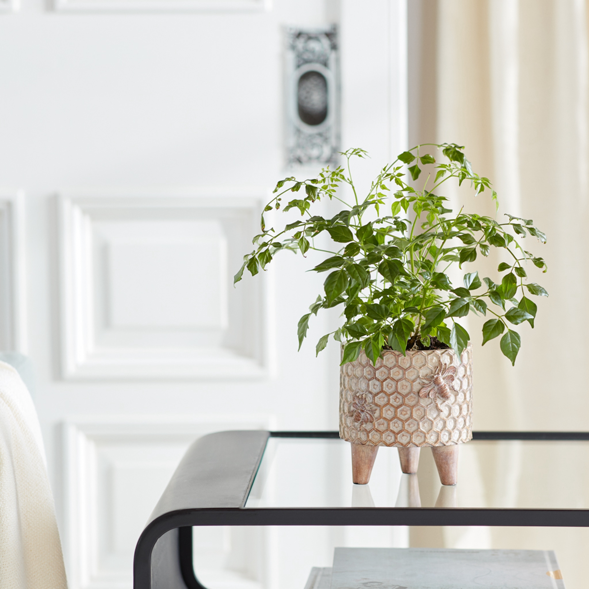 Pot w/Legs (Set of 2) 5