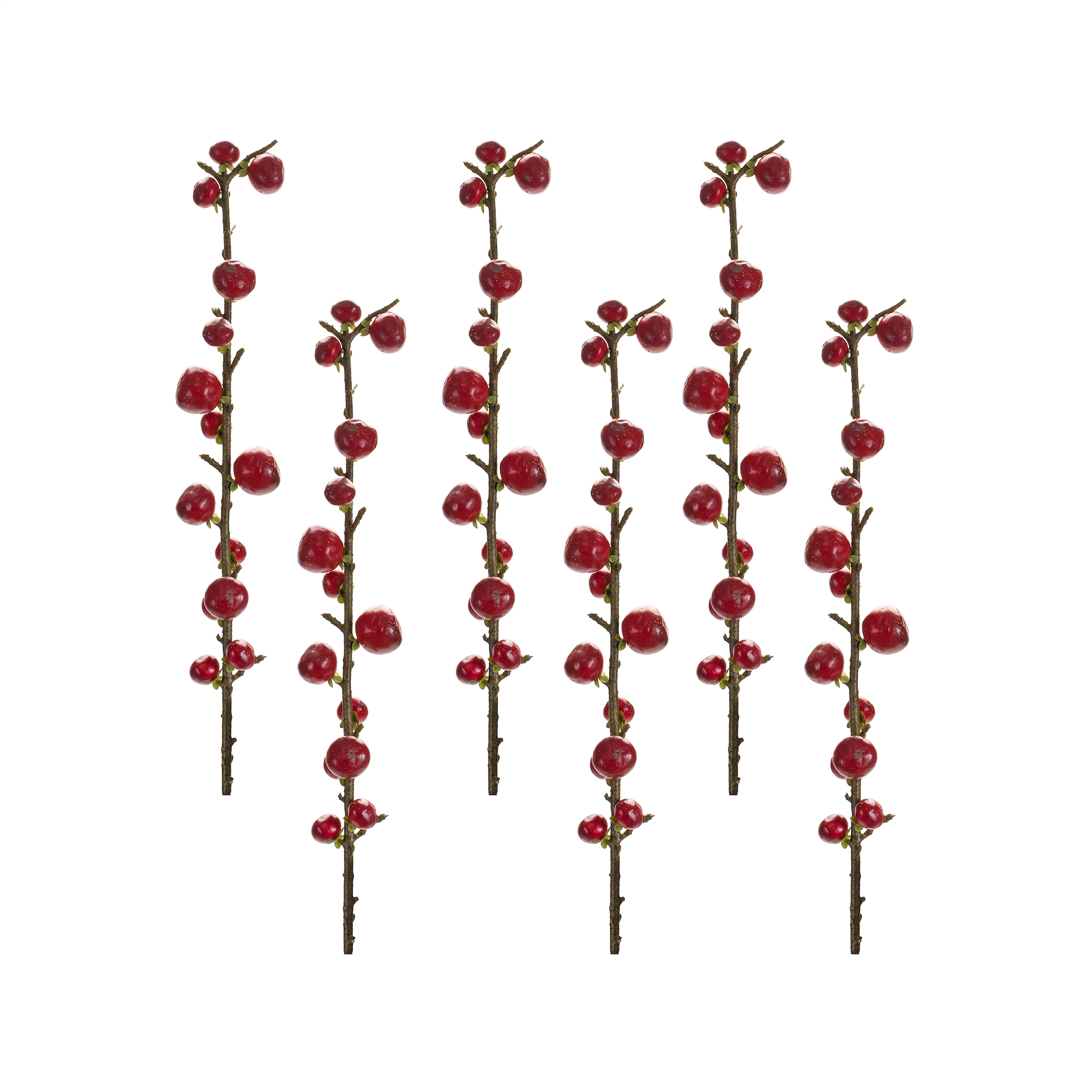 Berry Spray (Set of 6) 33.25