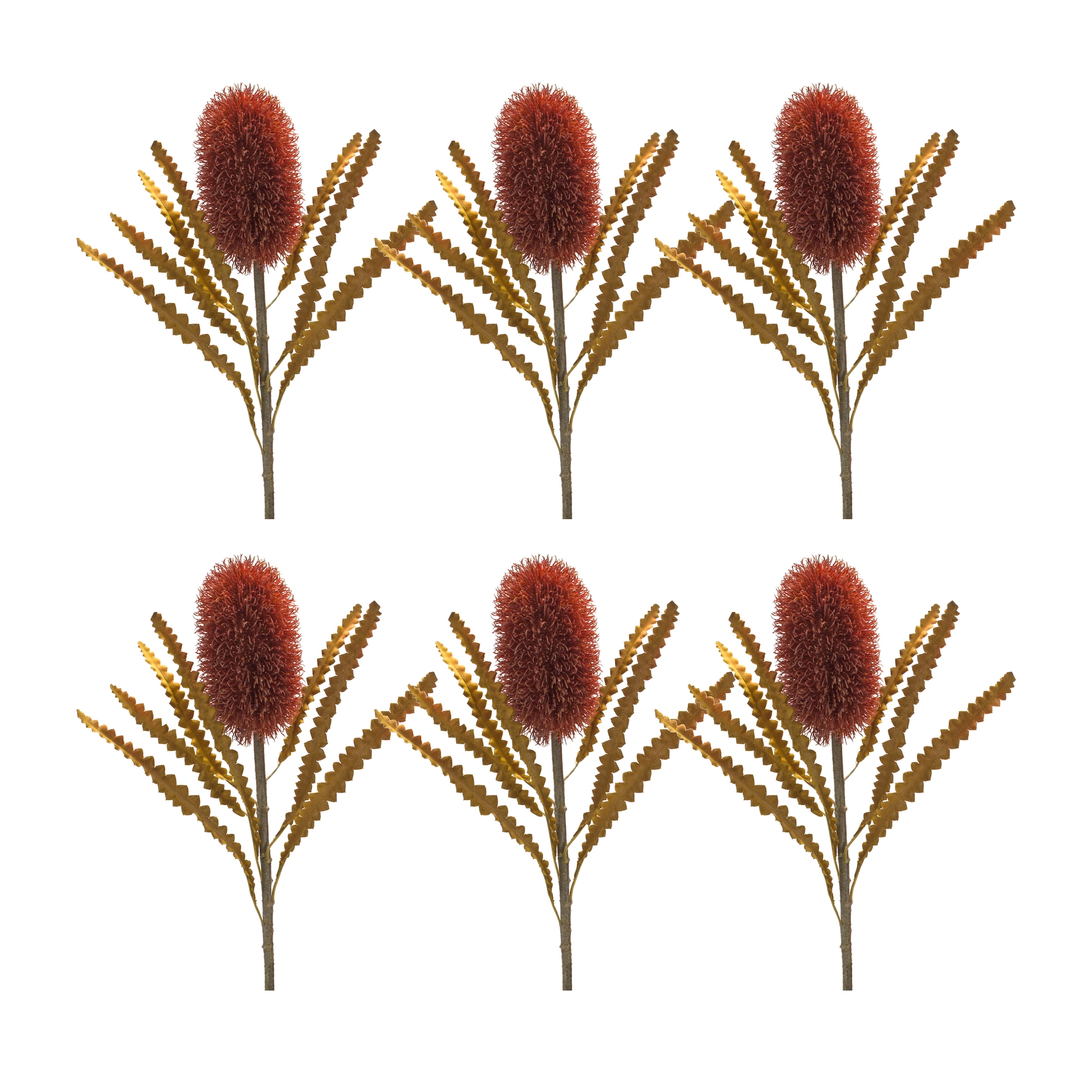 Banksia Stem (Set of 6) 24