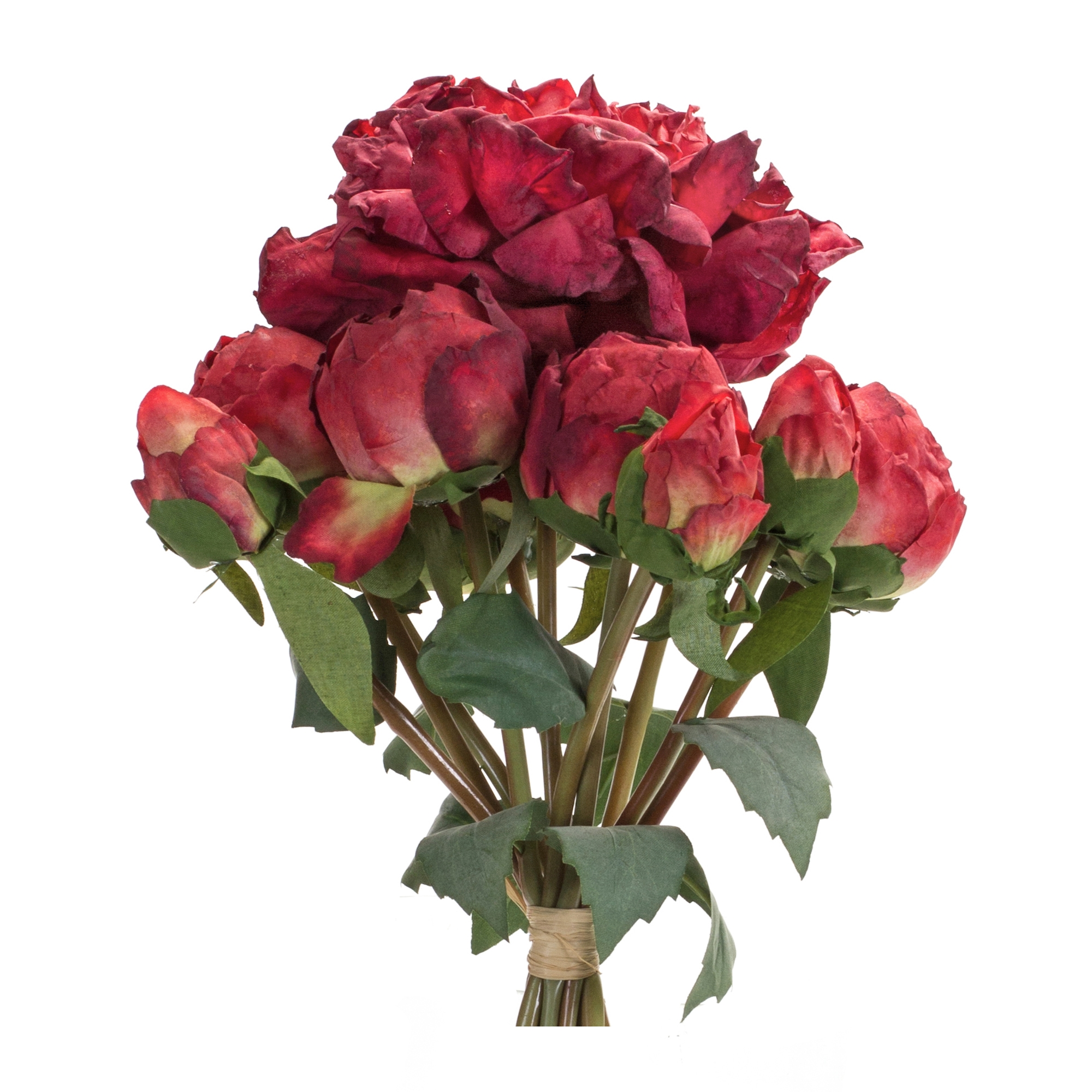 Peony Bouquet (Set of 6) 16