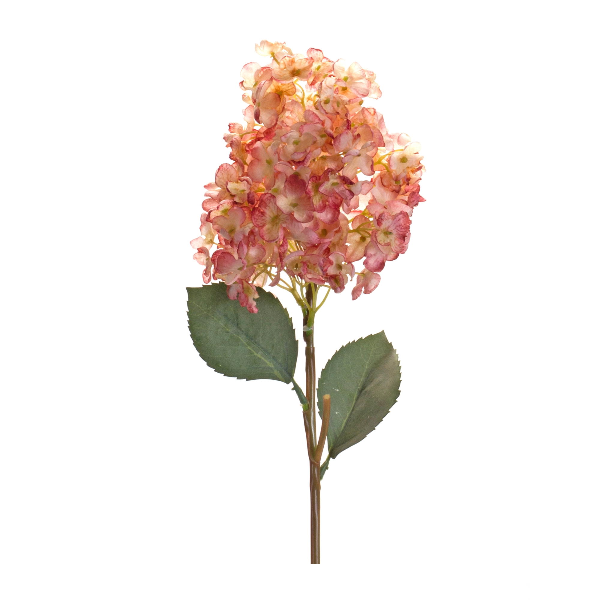 Cone Hydrangea Stem (Set of 6) 34.5