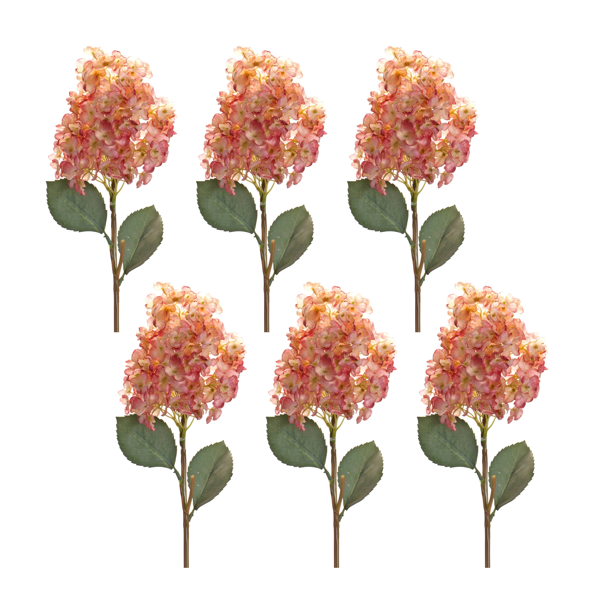 Cone Hydrangea Stem (Set of 6) 34.5