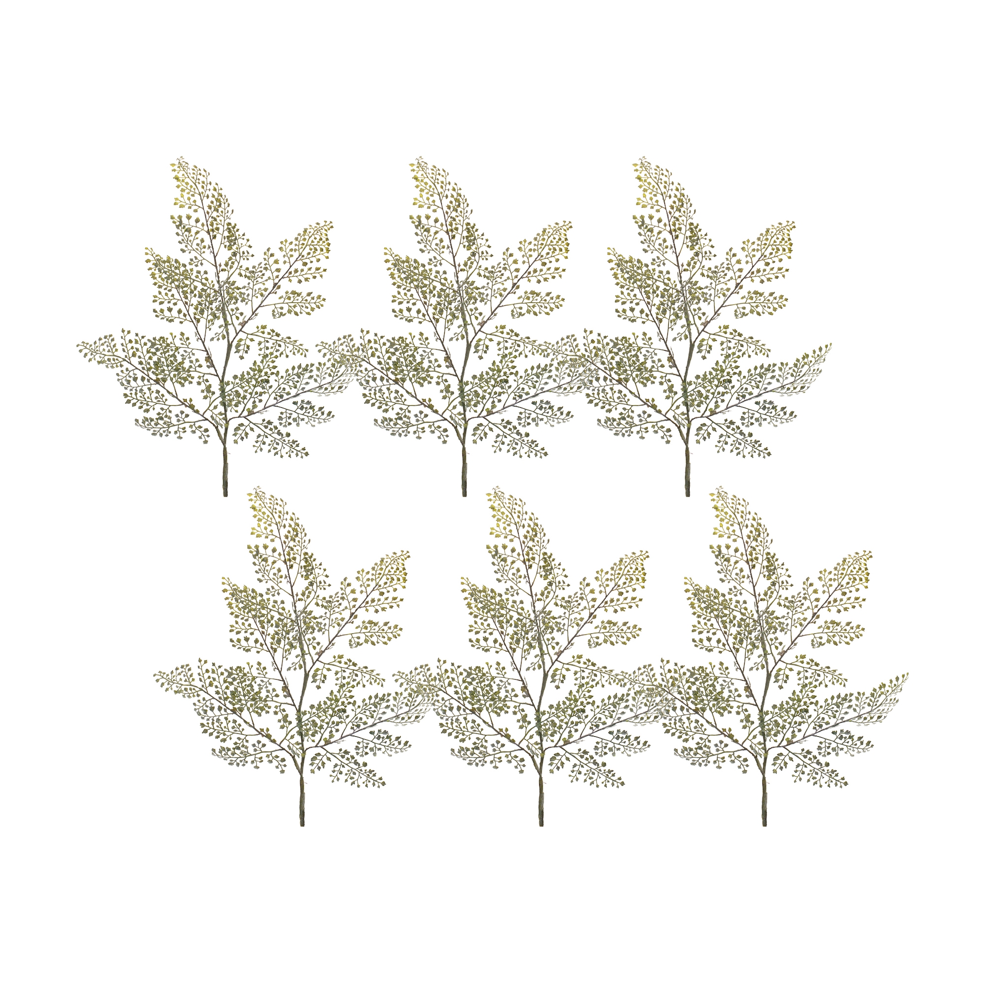Maiden Hair Fern Spray (Set of 6) 30.5
