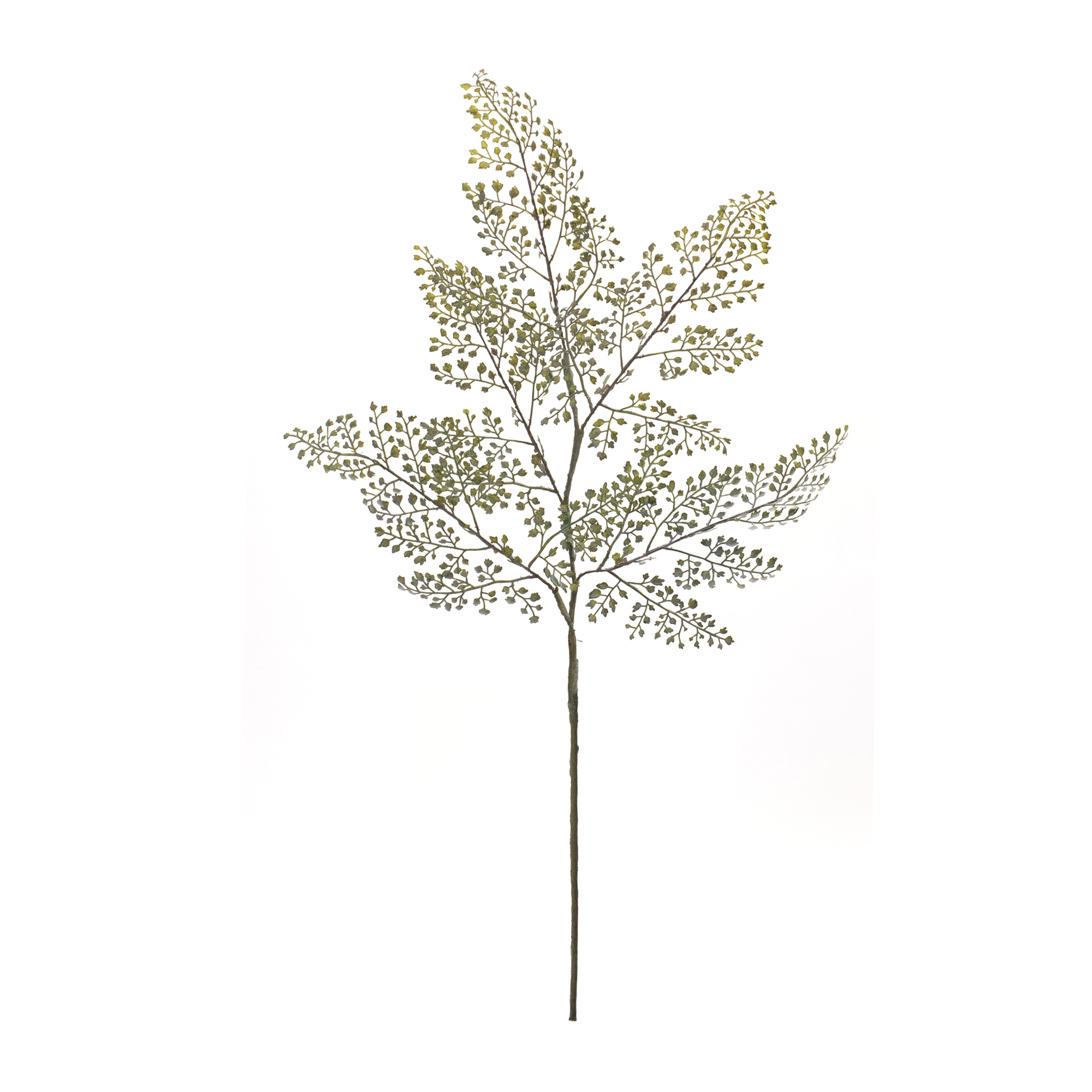 Maiden Hair Fern Spray (Set of 6) 30.5