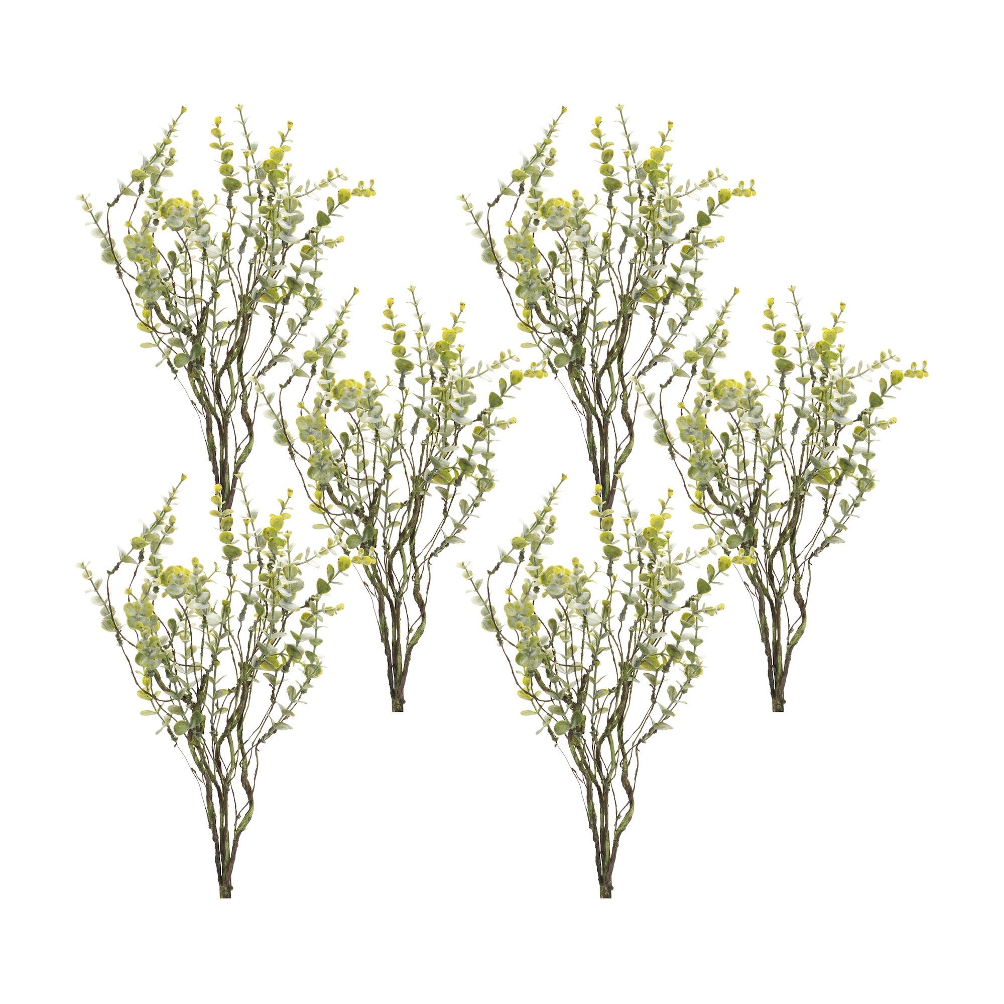 Boxwood Spray (Set of 6) 18