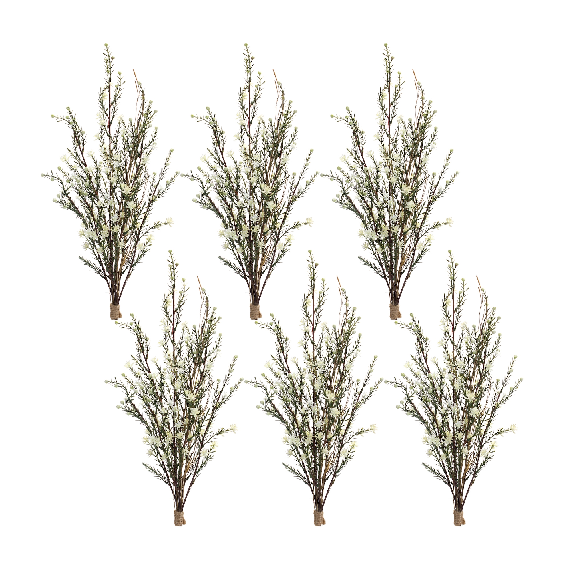 Leptospermum Bundle (Set of 6)  26.25