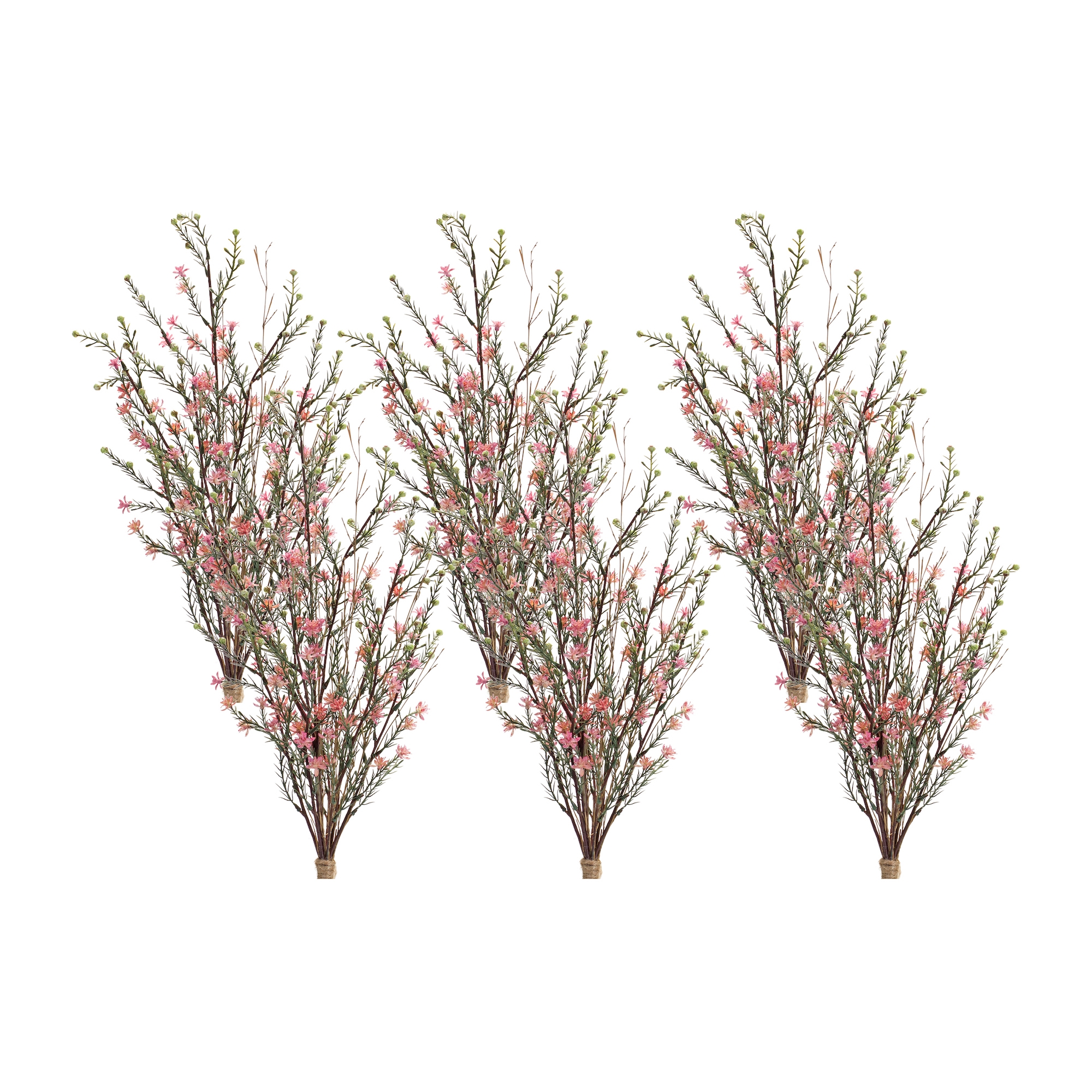 Leptospermum Bundle (Set of 6)  26.25