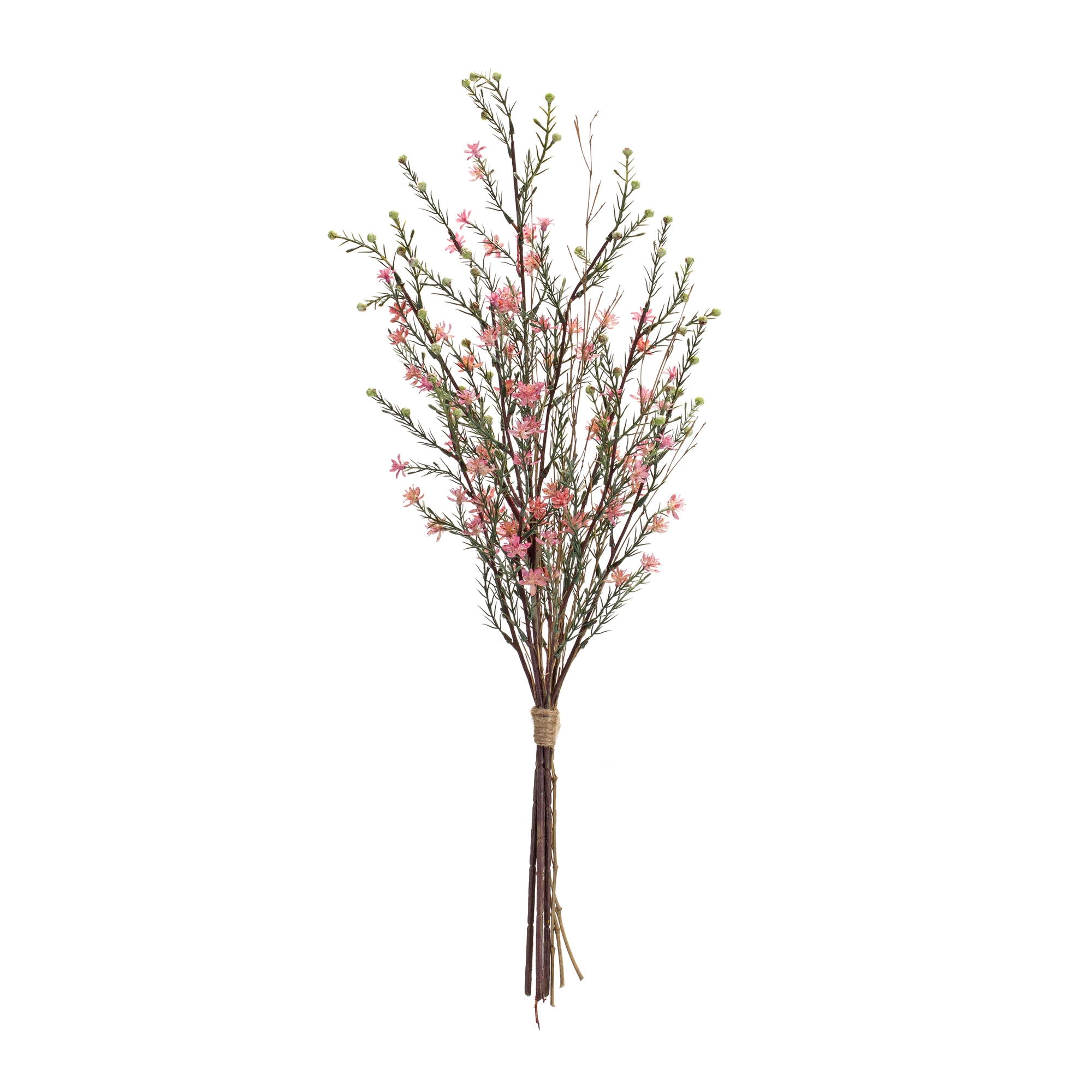 Leptospermum Bundle (Set of 6)  26.25