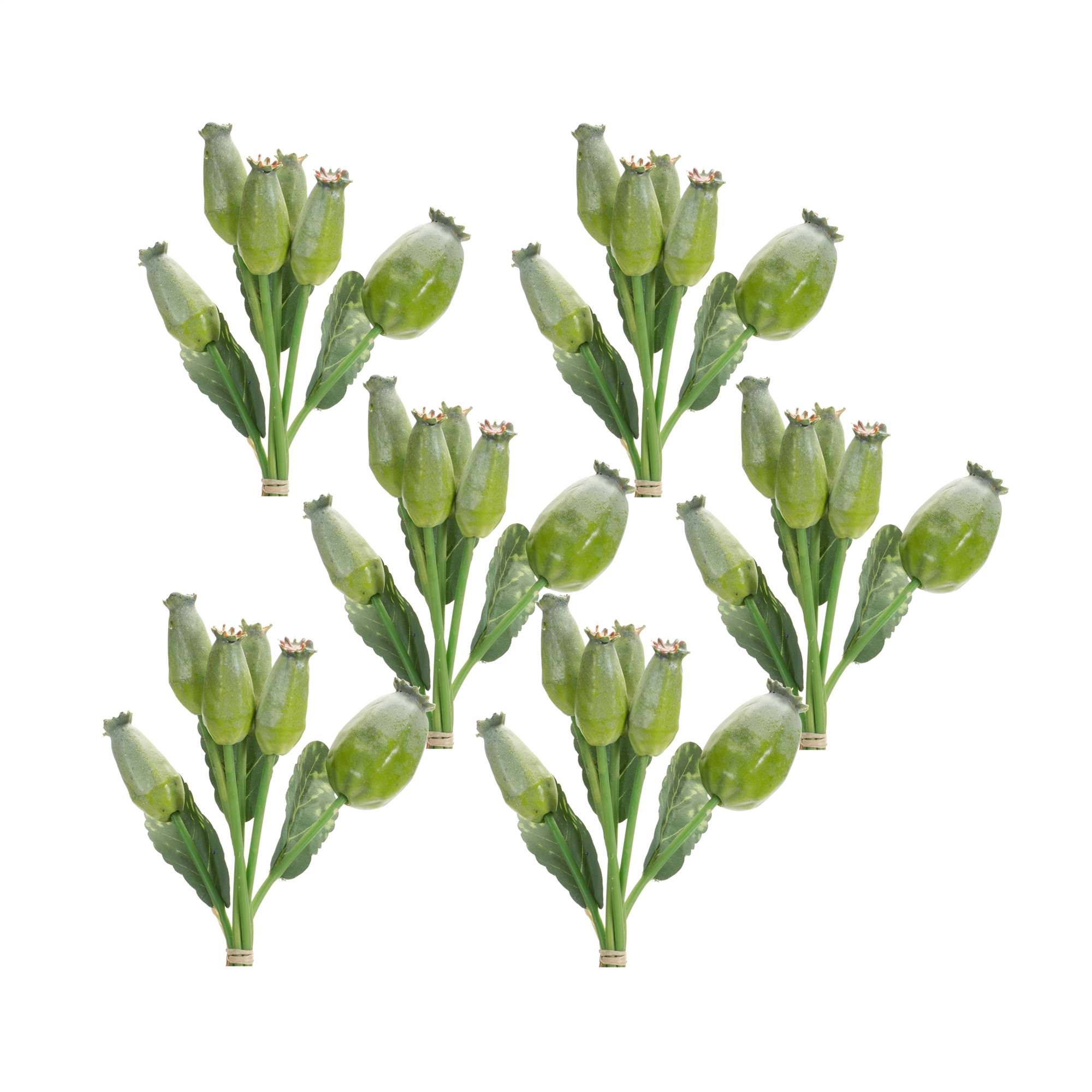 Poppy Pod Bundle (Set of 6) 9.5