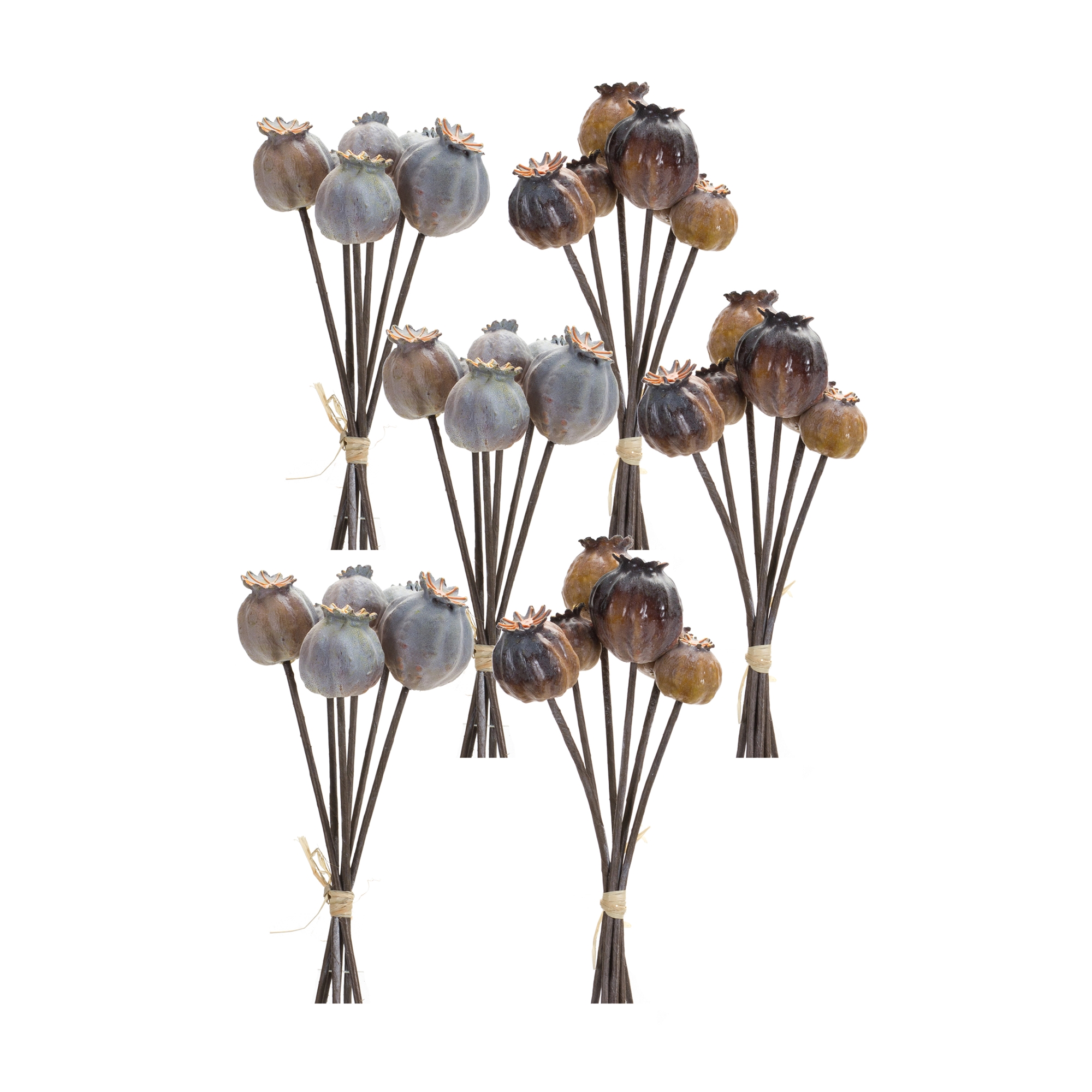 Poppy Pod Bundle (Set of 6) 10.5
