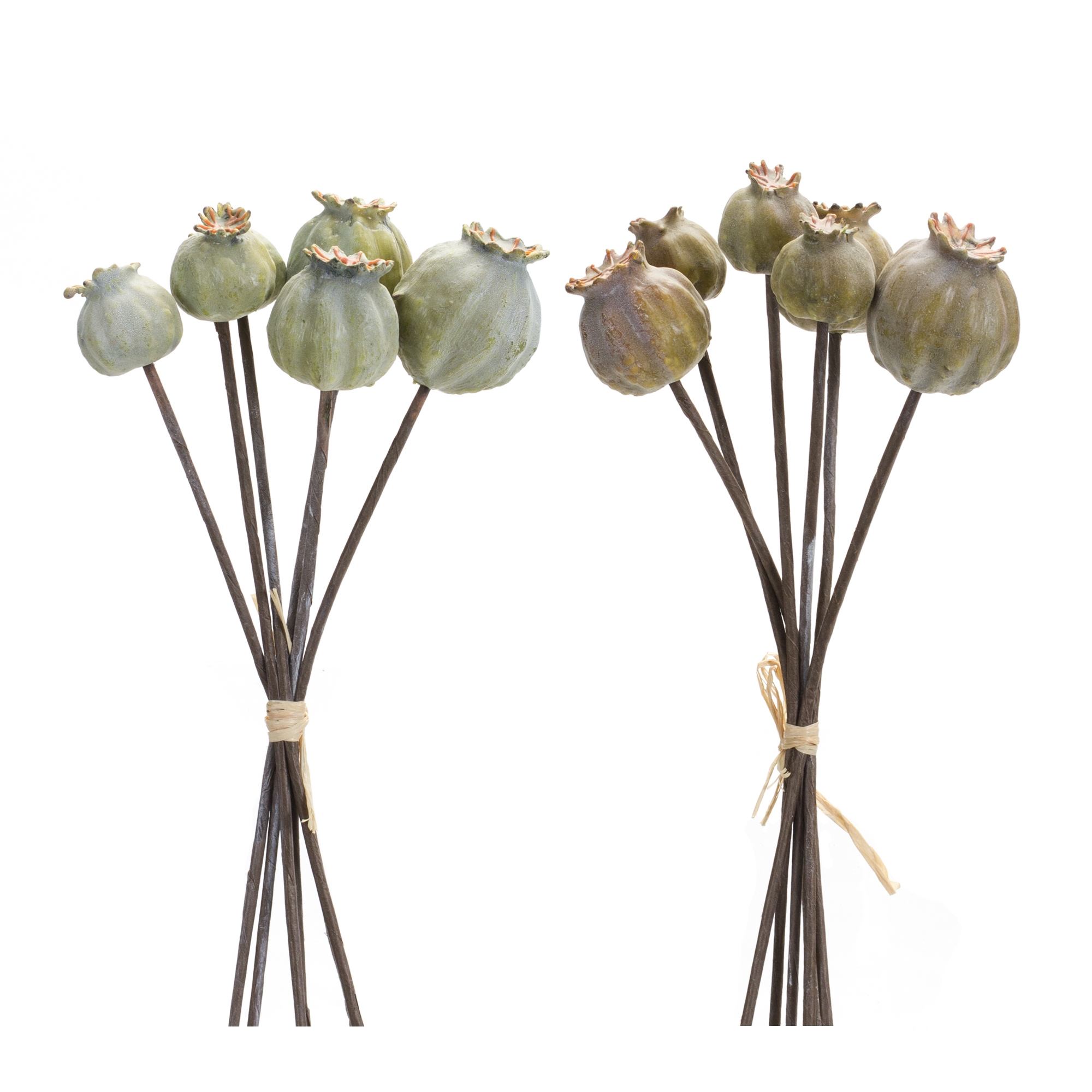 Poppy Pod Bundle (Set of 6) 10.5