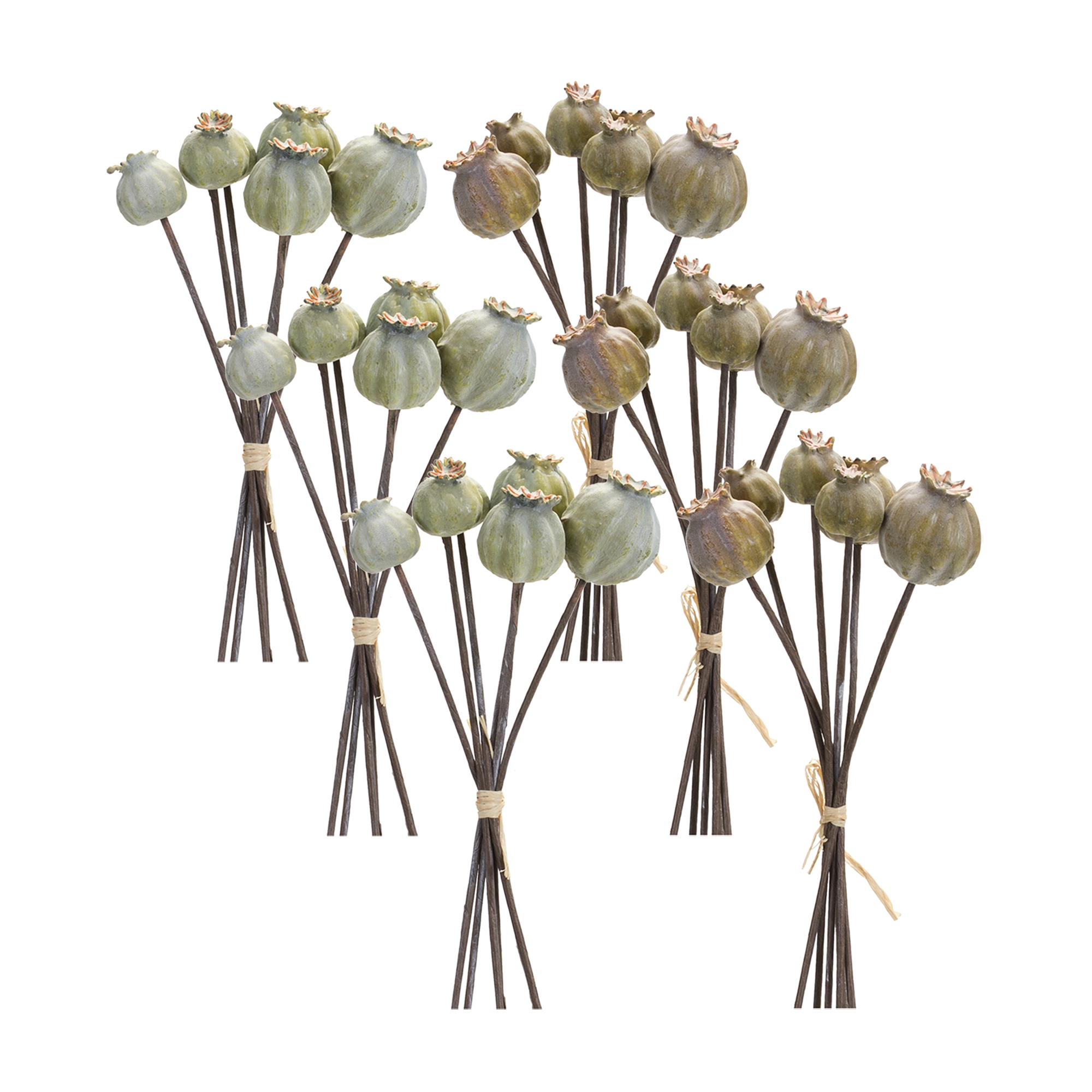 Poppy Pod Bundle (Set of 6) 10.5