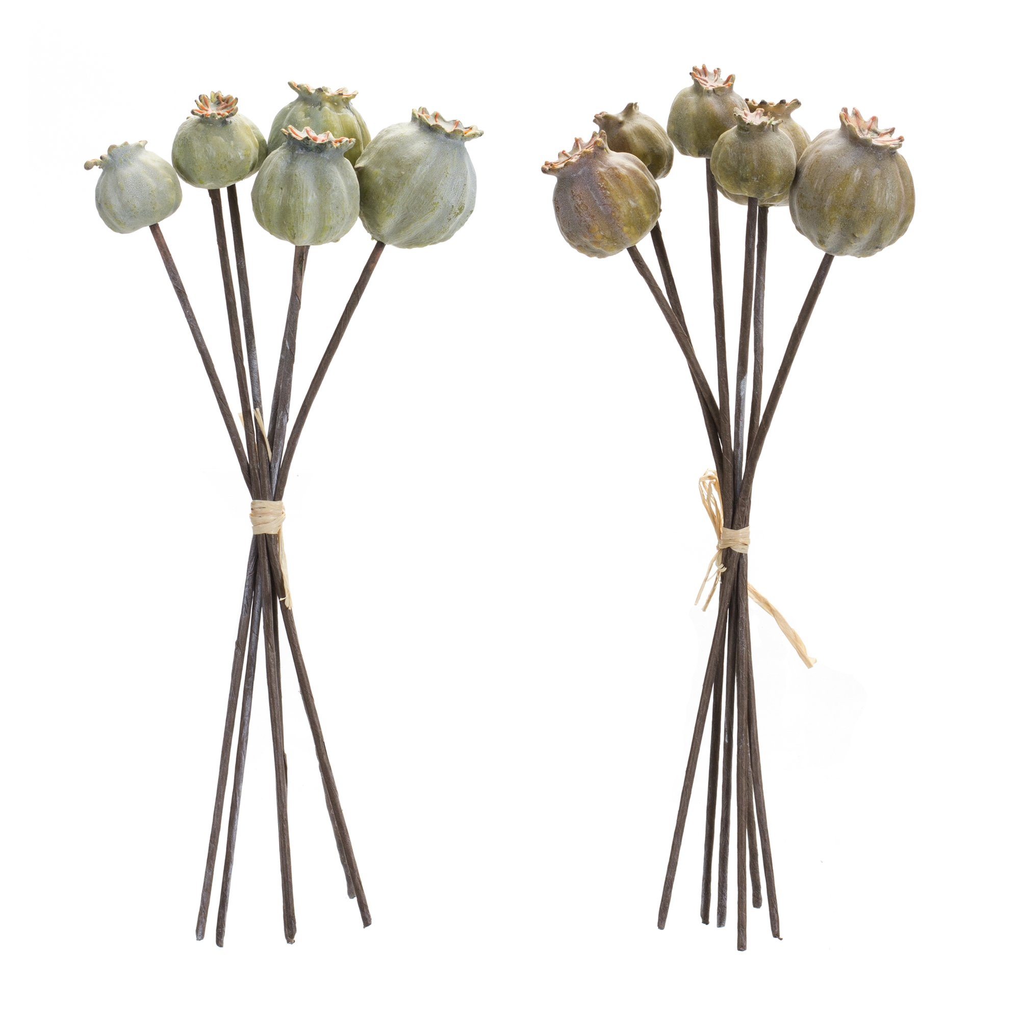Poppy Pod Bundle (Set of 6) 10.5