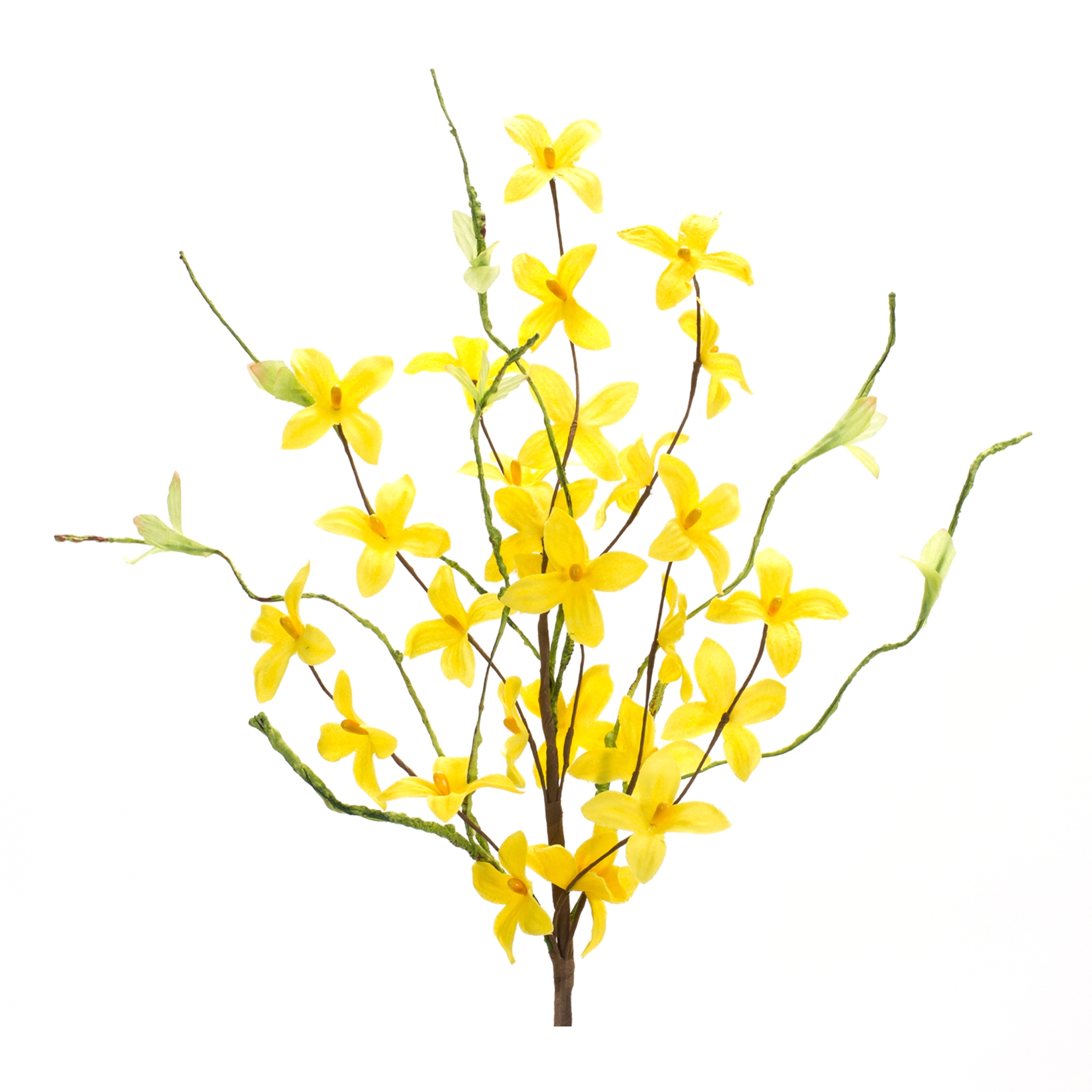 Forsythia Pick (Set of 6) 19