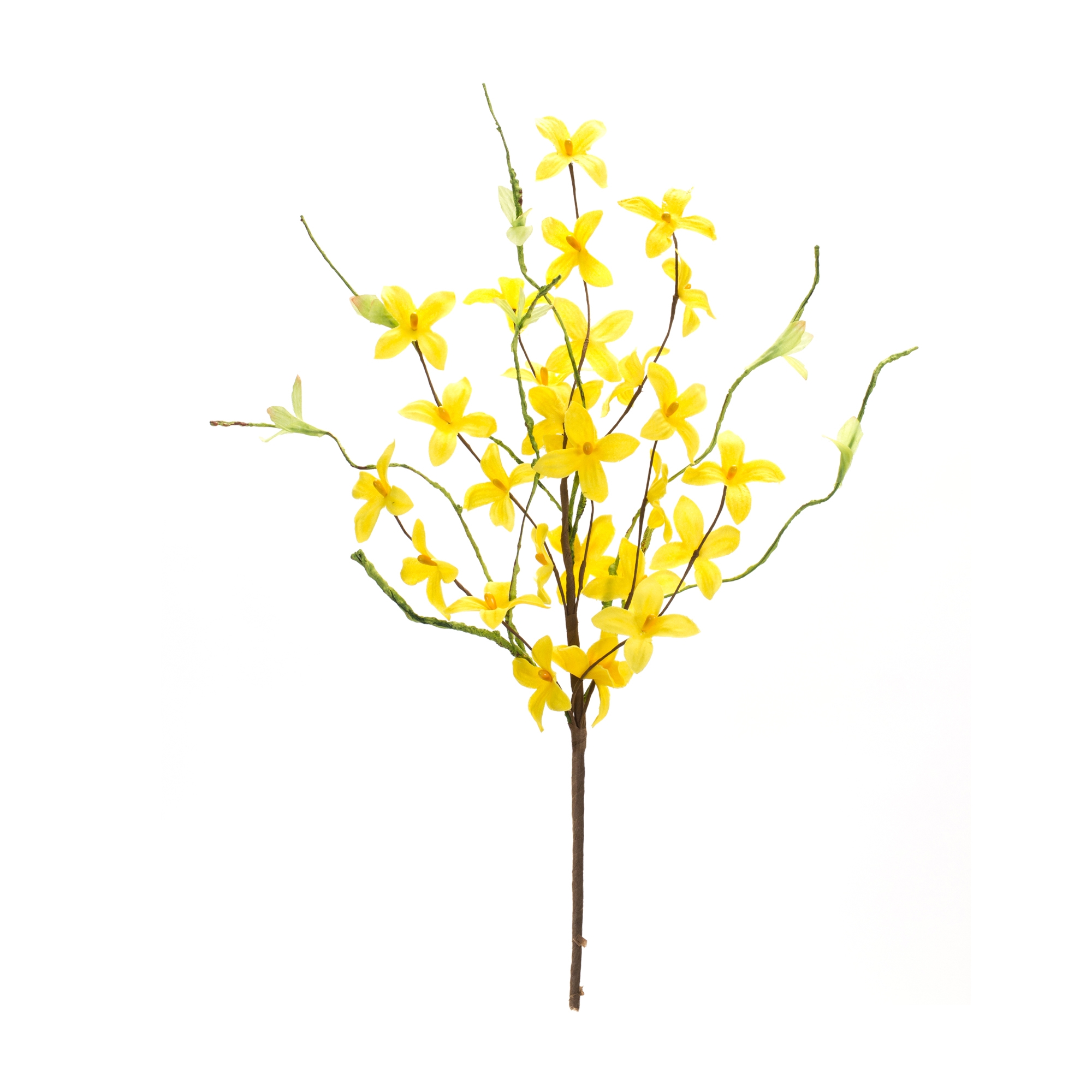 Forsythia Pick (Set of 6) 19