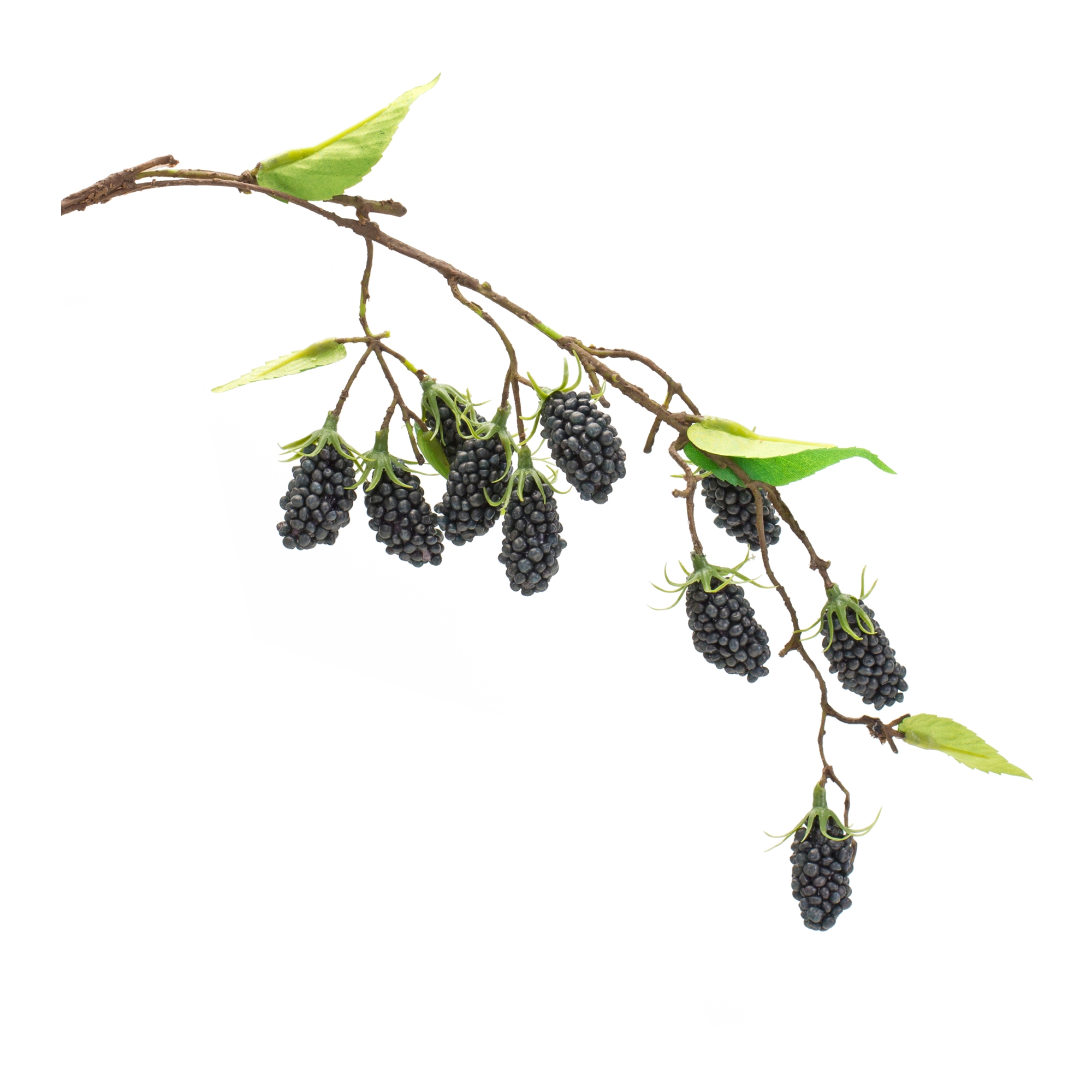 Raspberry Vine (Set of 6) 24.5