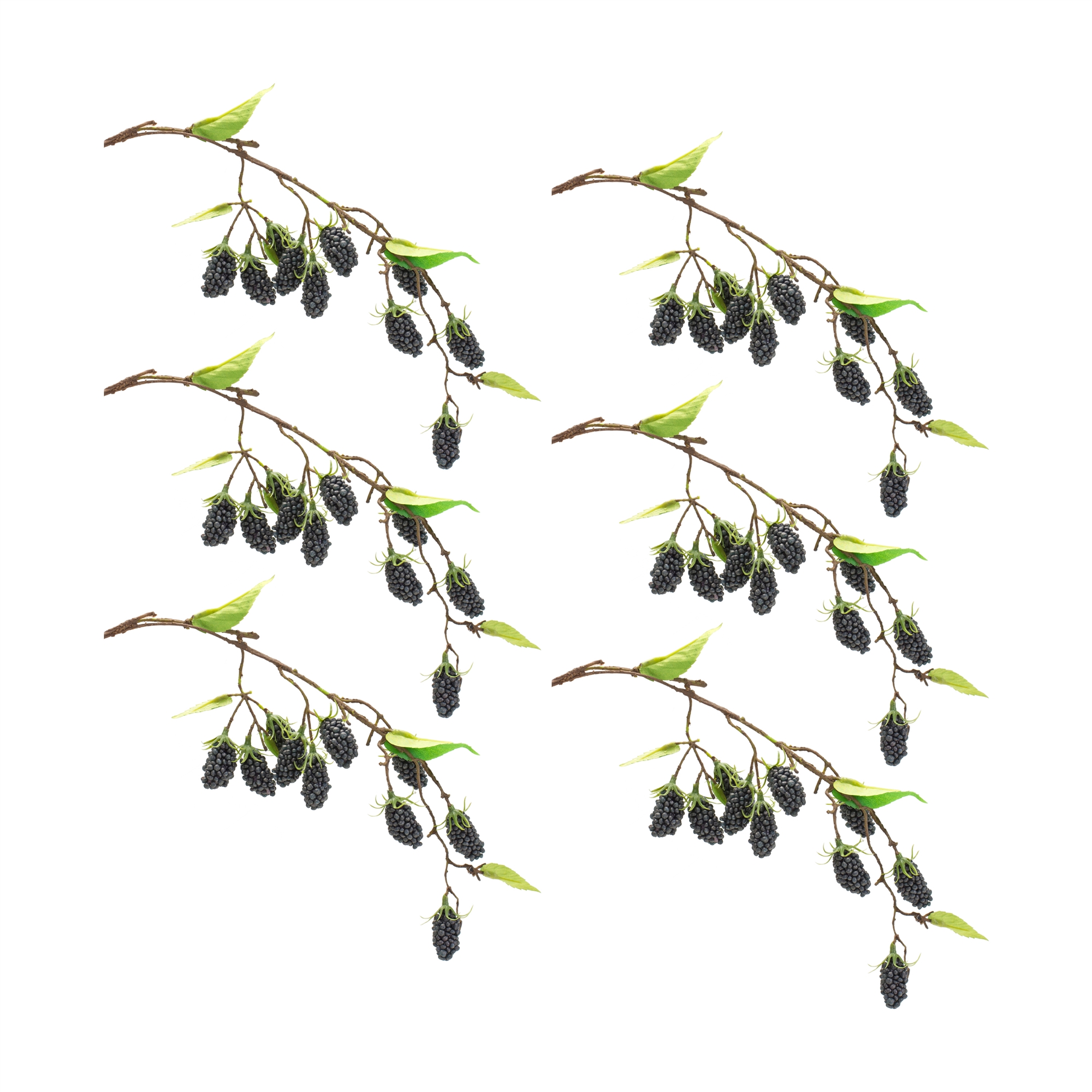 Raspberry Vine (Set of 6) 24.5