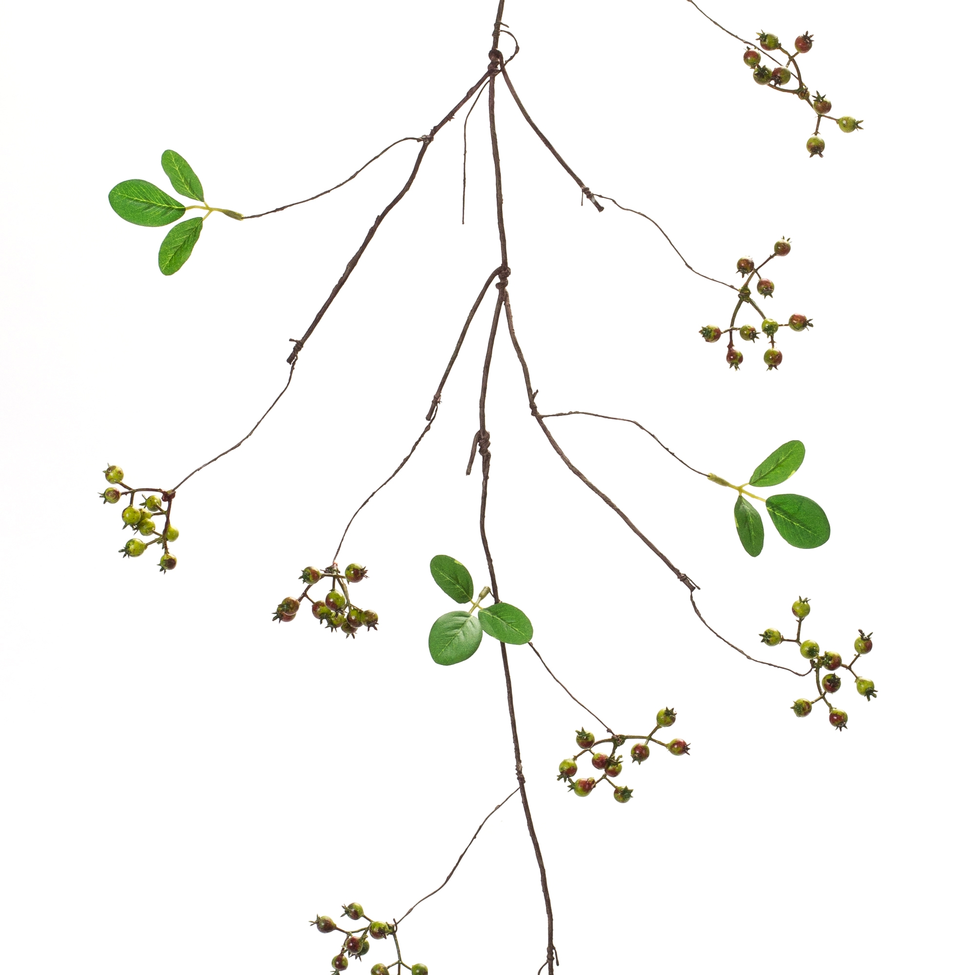 Berry Vine (Set of 6) 36