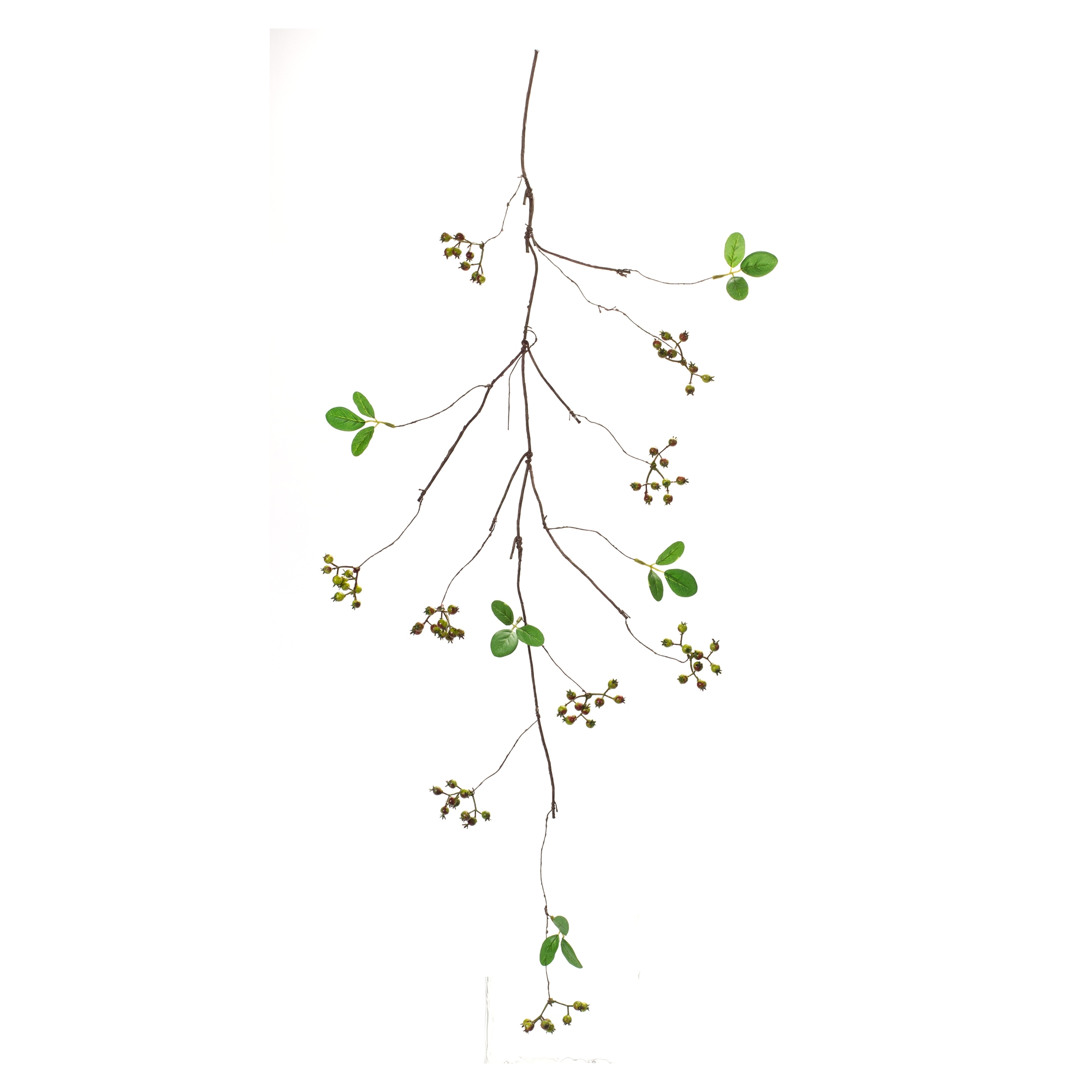 Berry Vine (Set of 6) 36