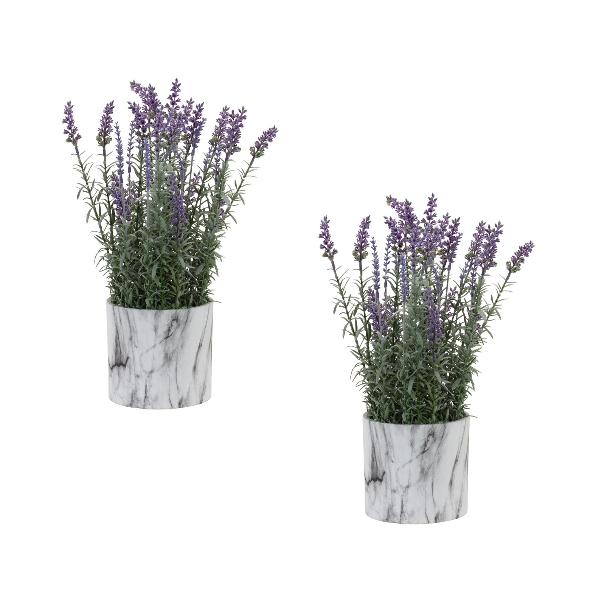 Potted Lavender (Set of 2) 5.75