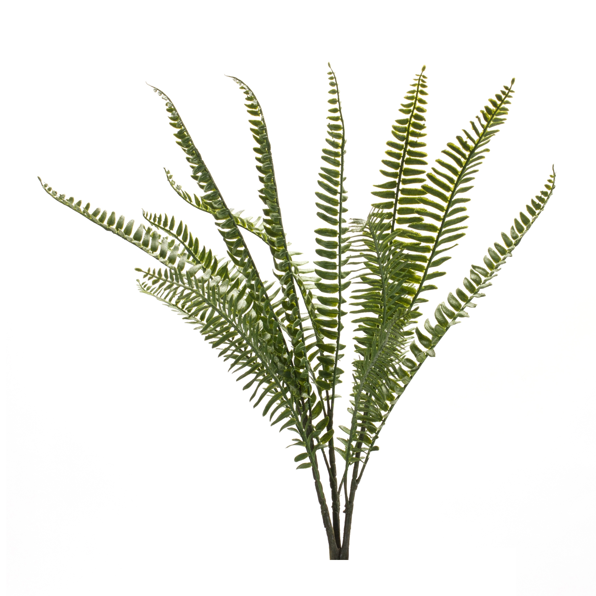 Fern Bush (Set of 6) 22