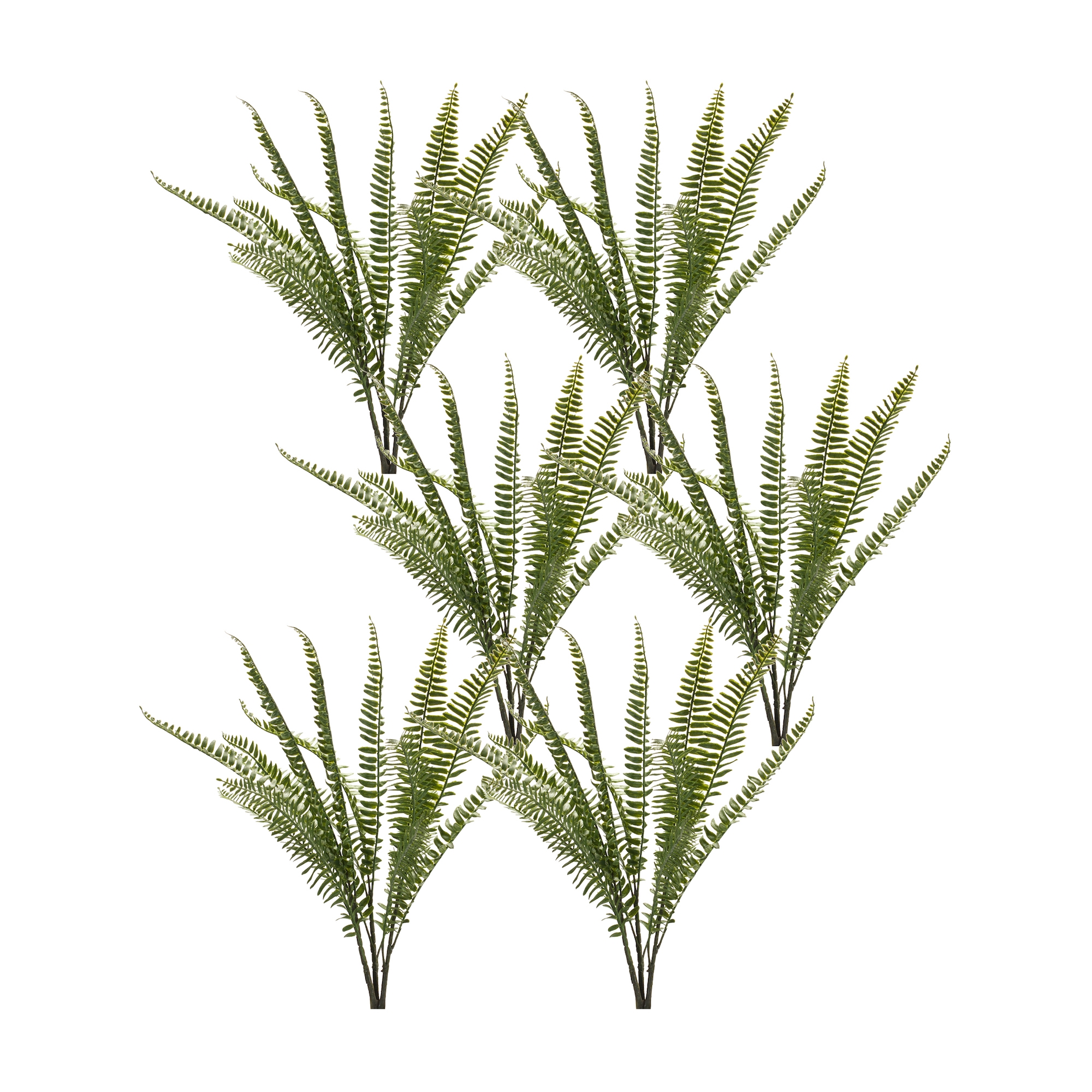 Fern Bush (Set of 6) 22