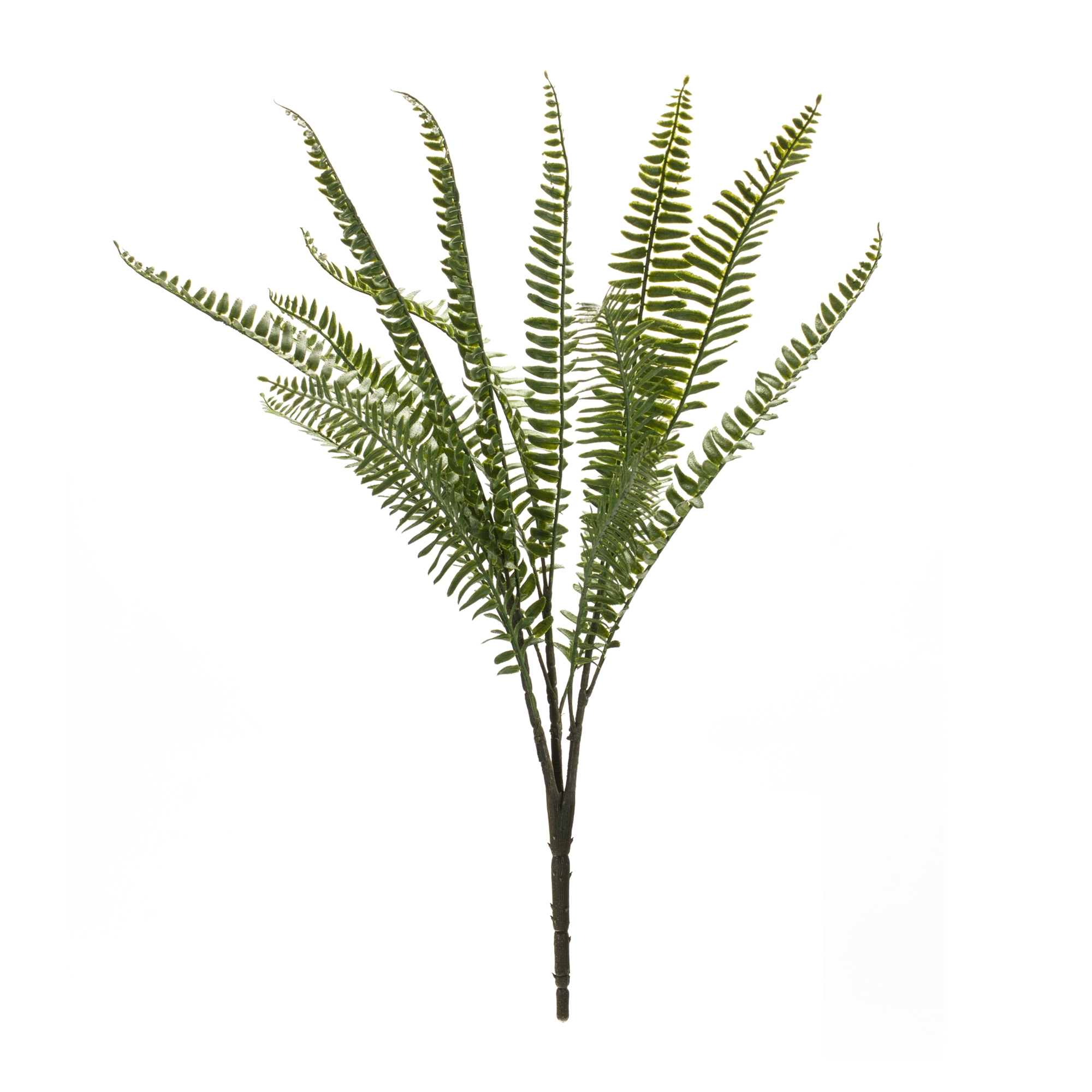 Fern Bush (Set of 6) 22