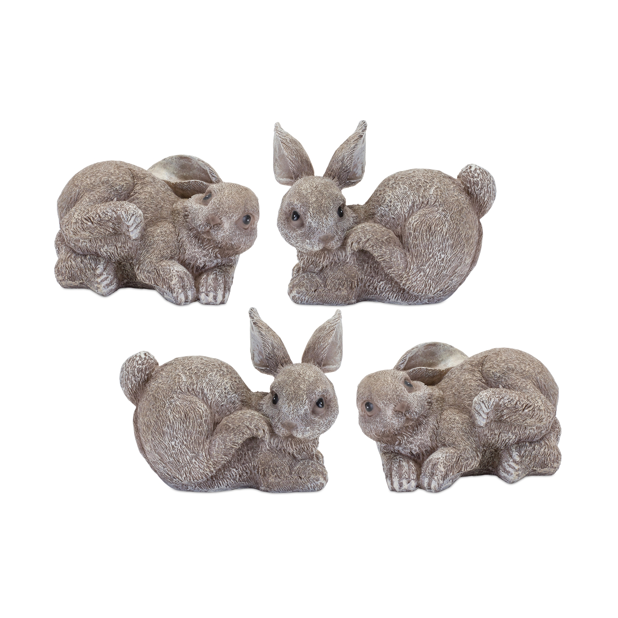 Bunny (Set of 4) 3