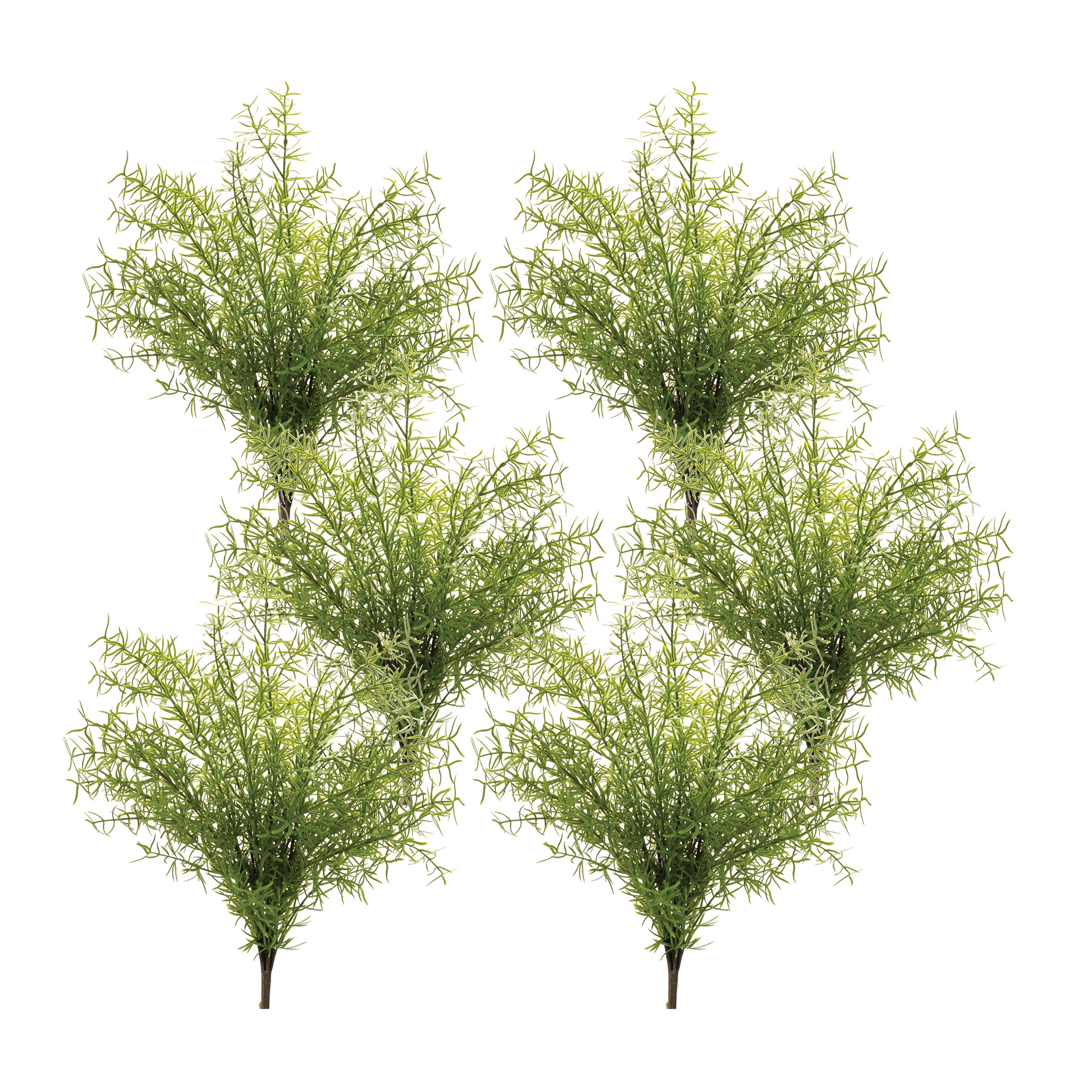 Asparagus Fern Bush (Set of 6) 18.5