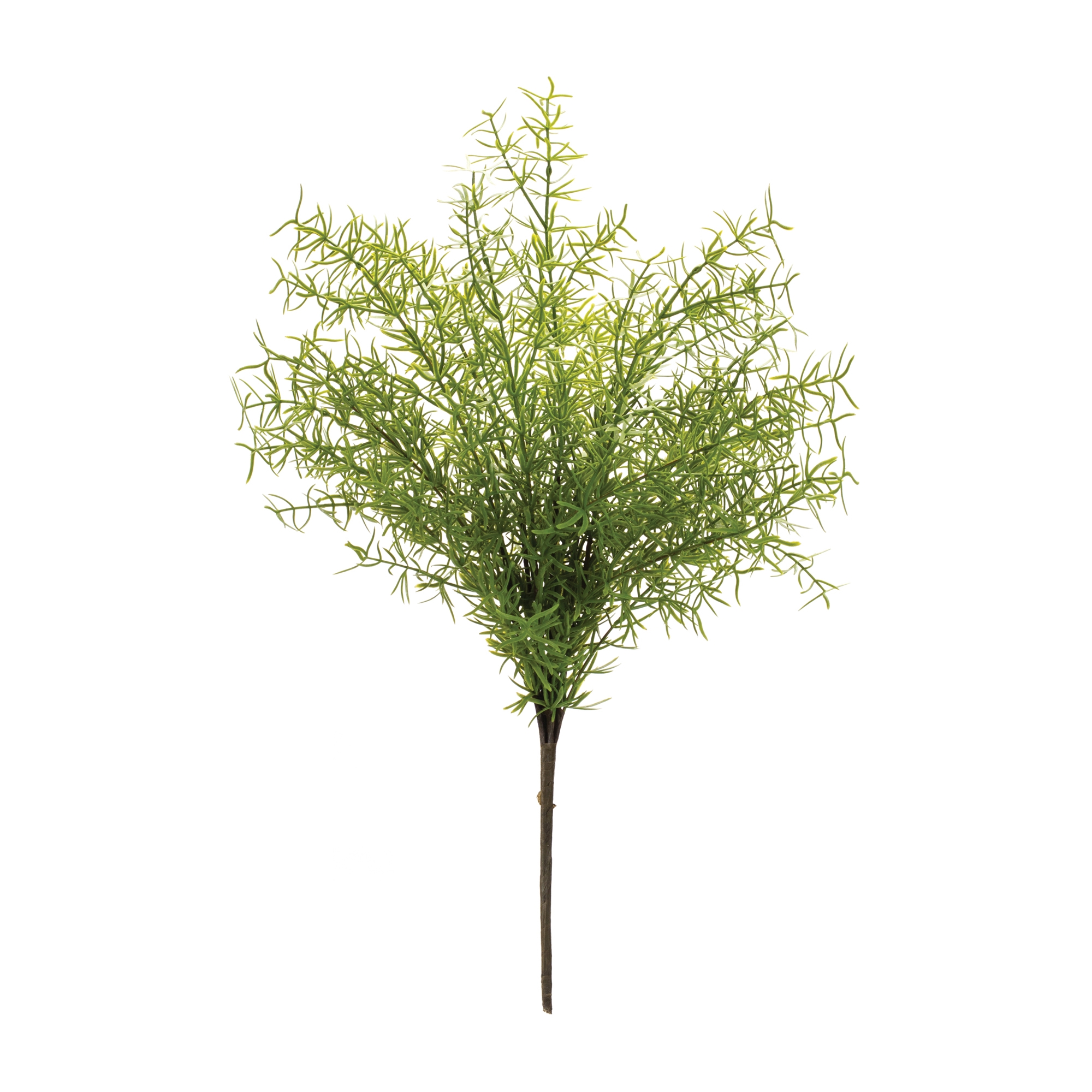 Asparagus Fern Bush (Set of 6) 18.5