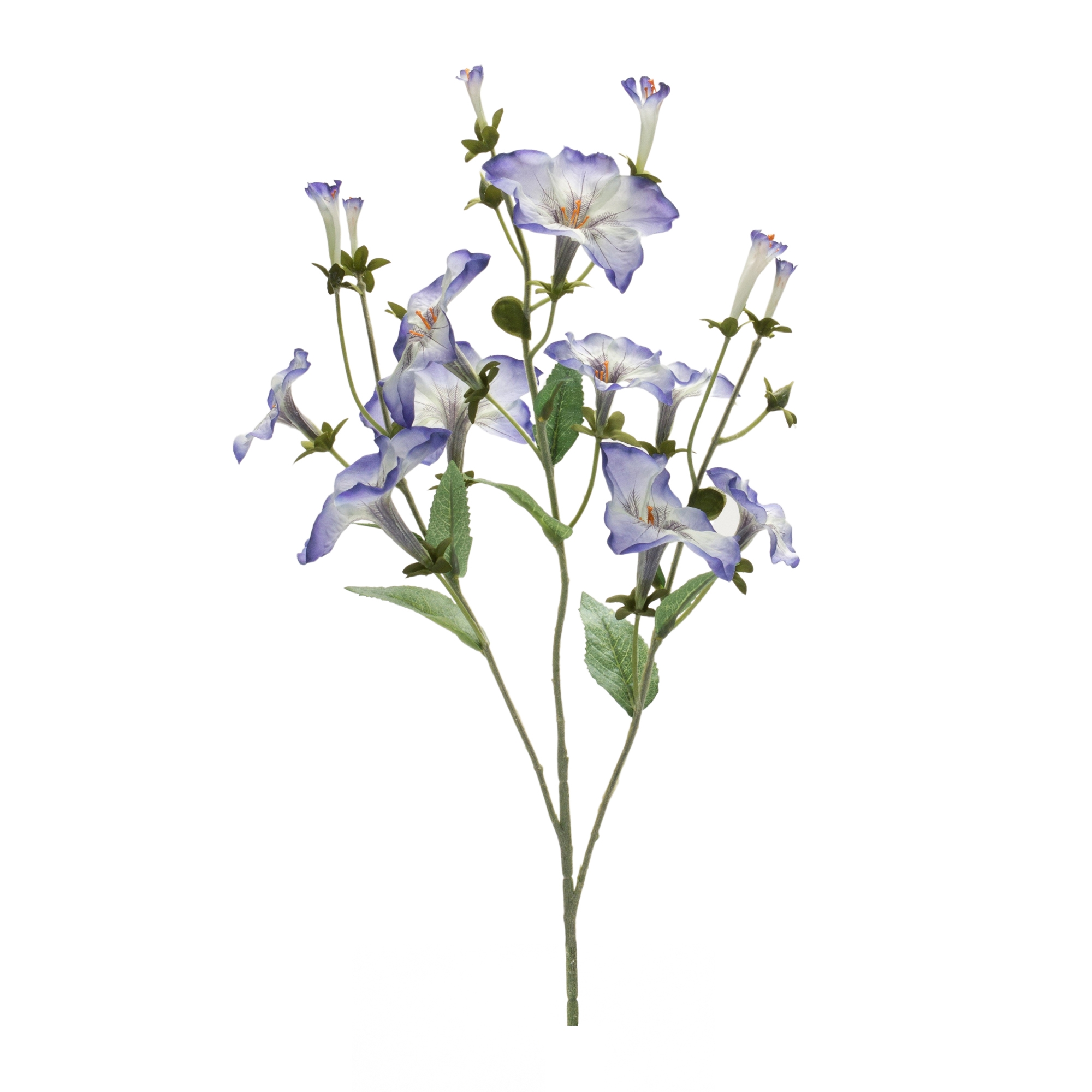 Morning Glory Spray (Set of 6) 24.5