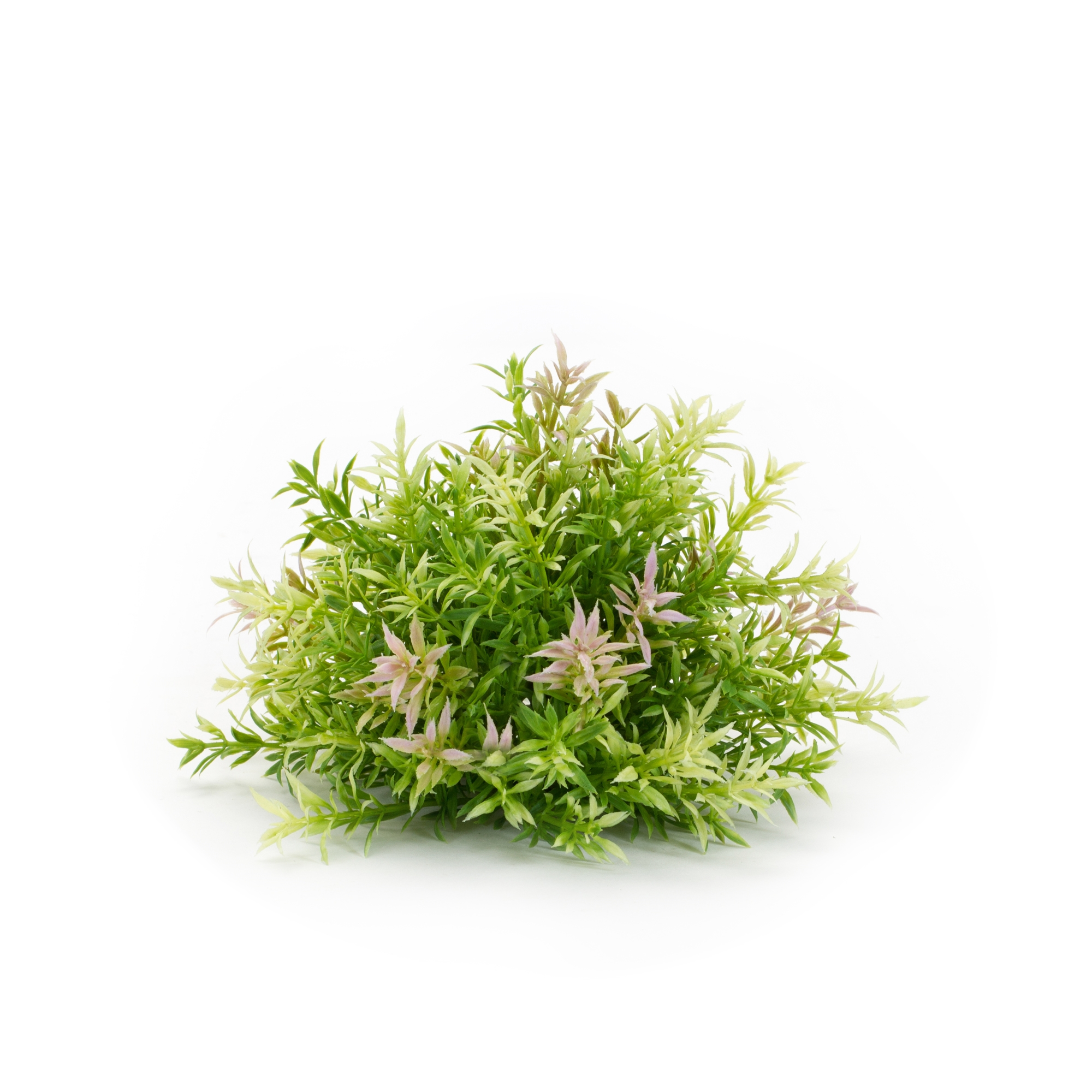 Half Orb (Set of 6) 8