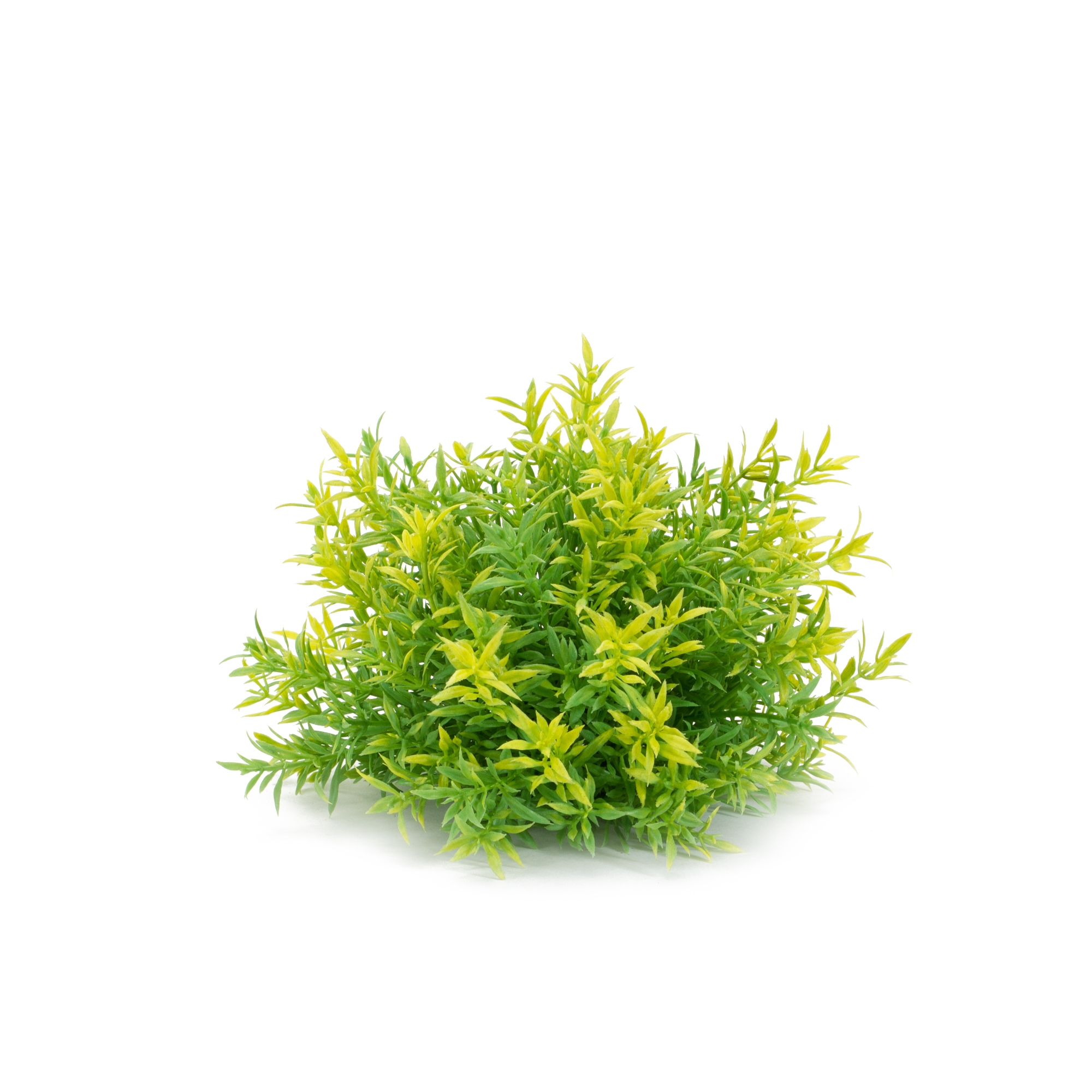 Half Orb (Set of 6) 8