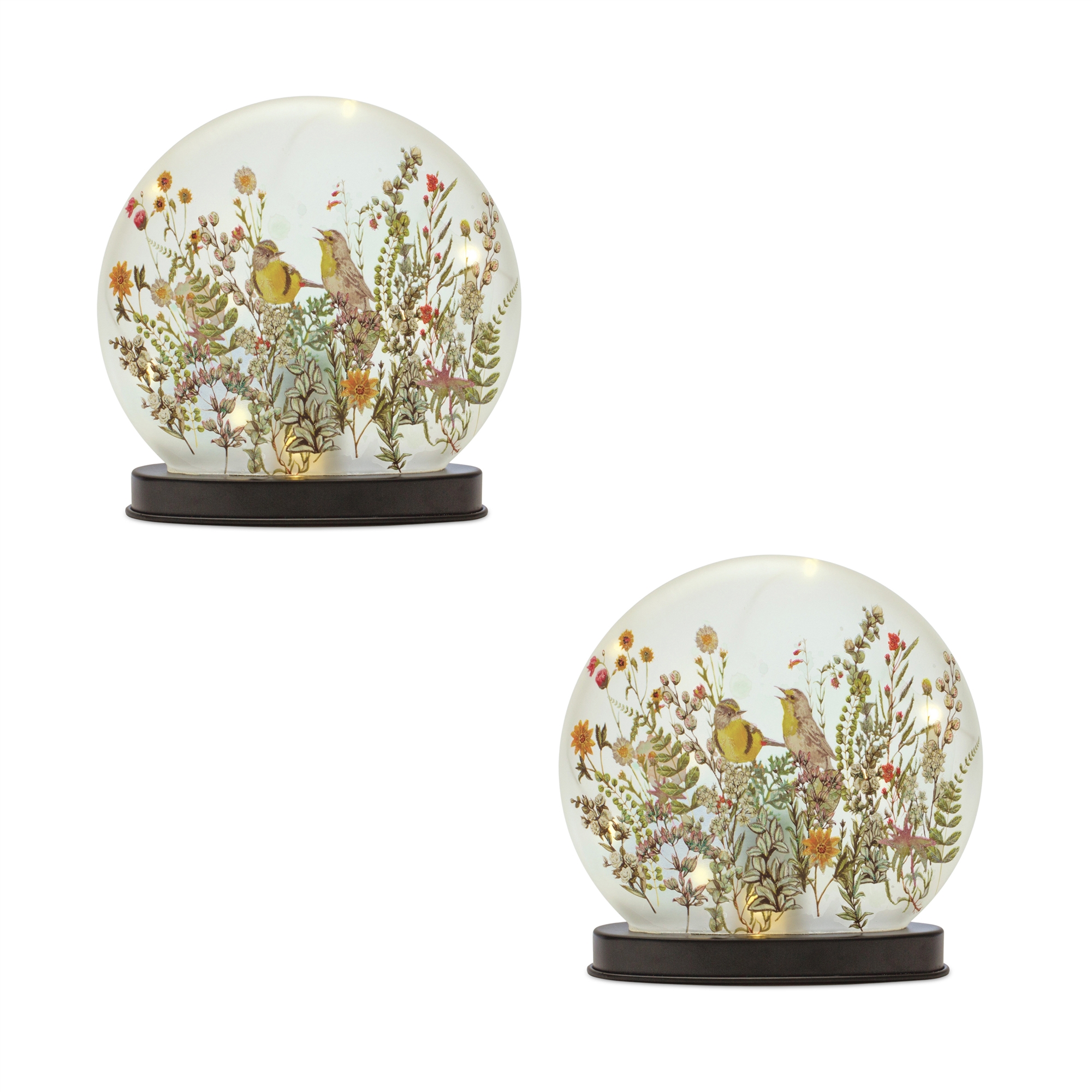 Bird and Floral Globe (Set of 2) 8
