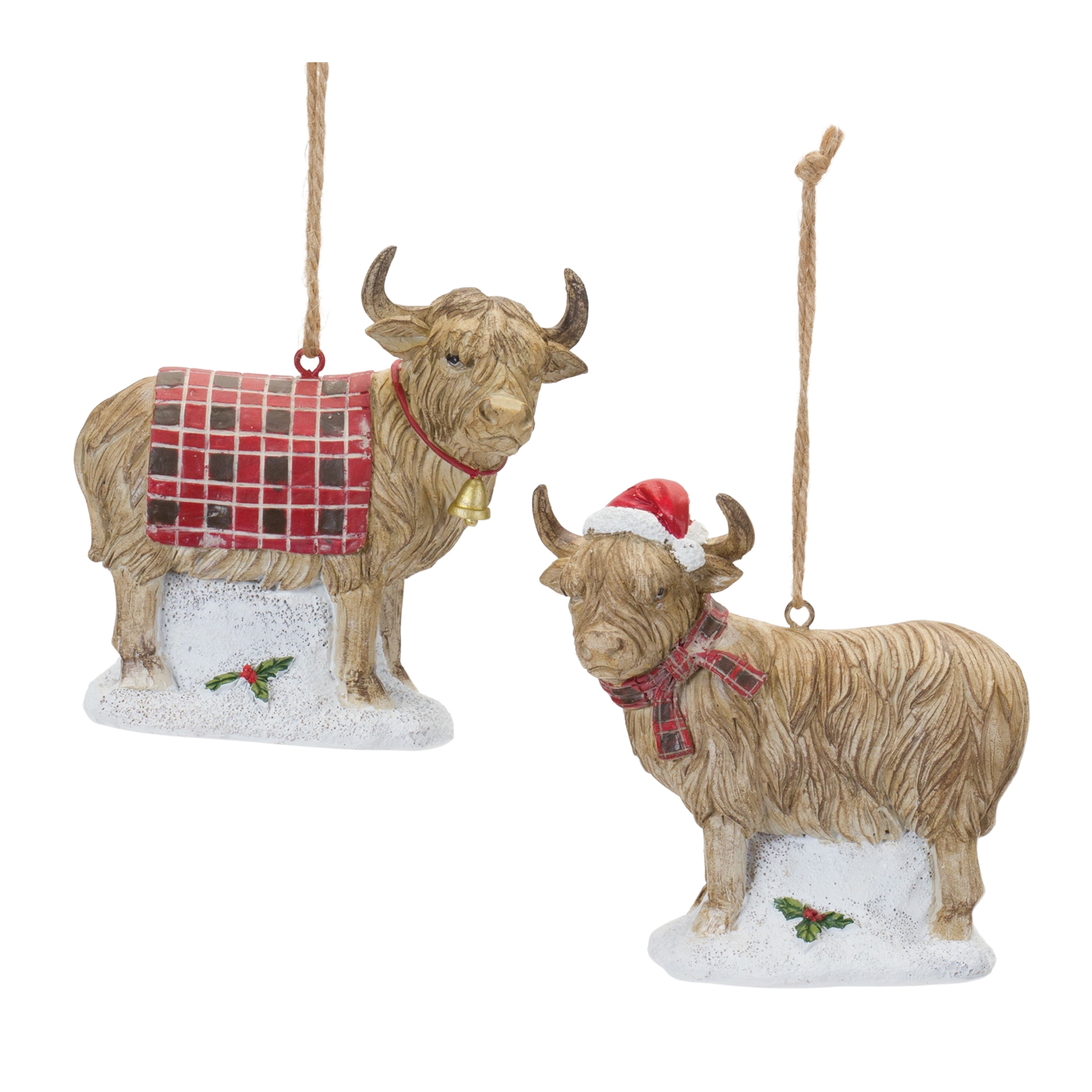Highland Cow Ornament (Set of 6) 4.25
